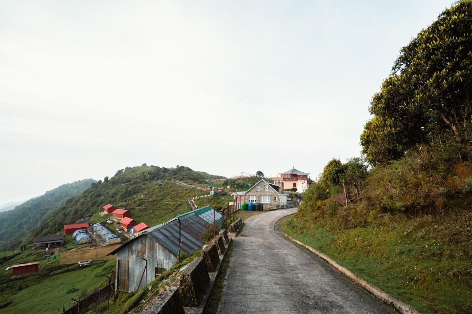 Photo 8