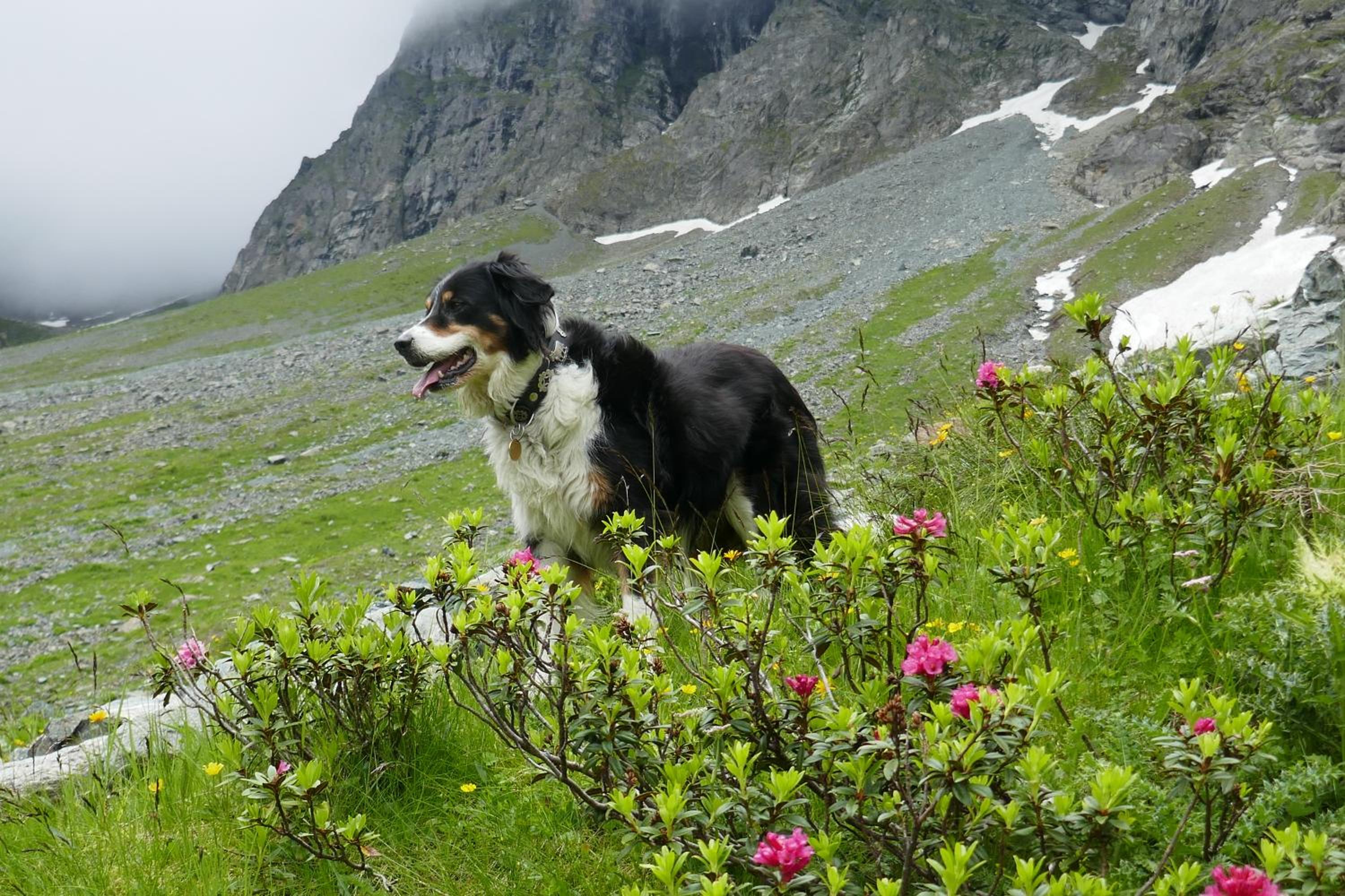 Hof im Feld