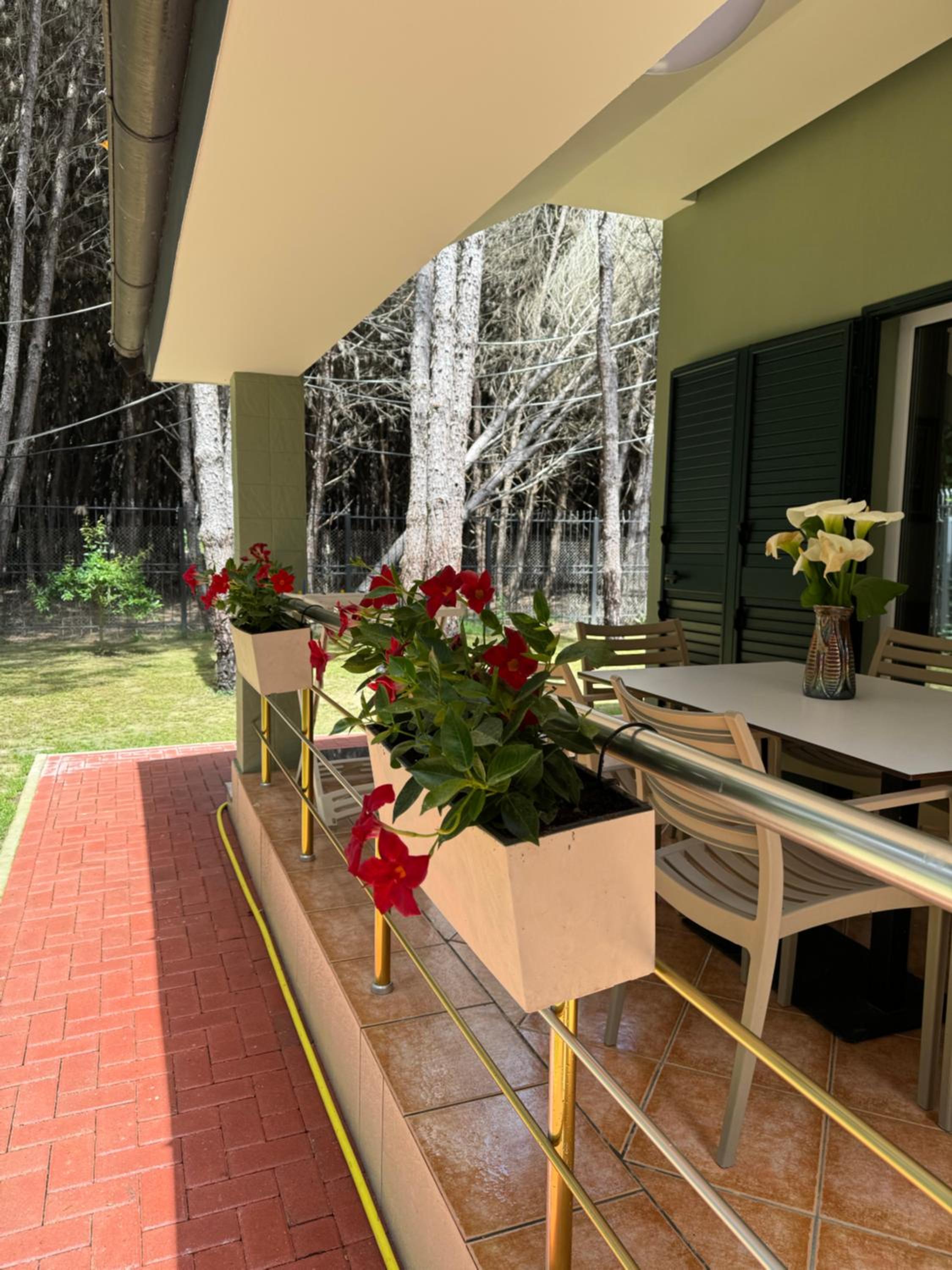 Forest Cottage - middle of forest & near the beach