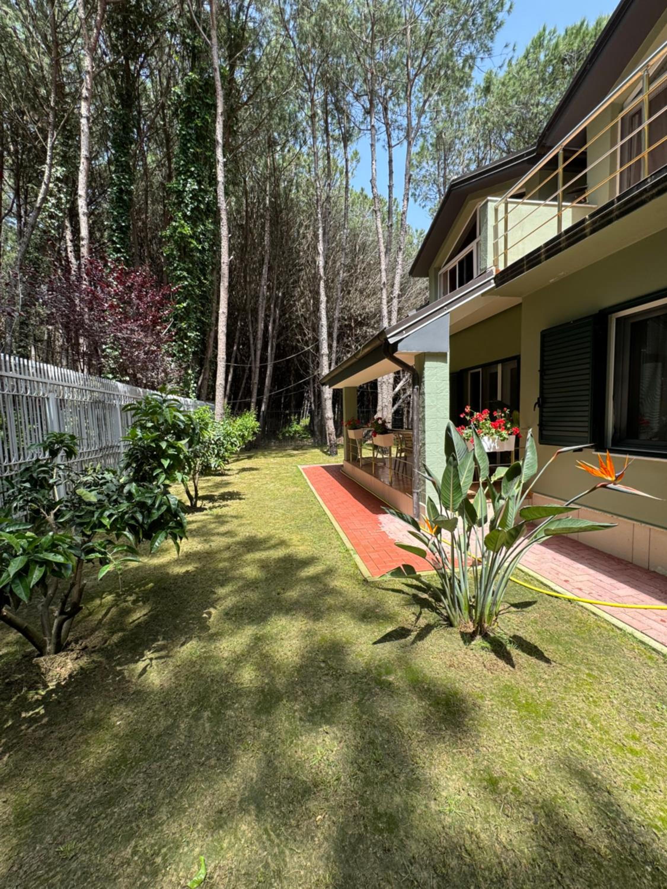 Forest Cottage - middle of forest & near the beach
