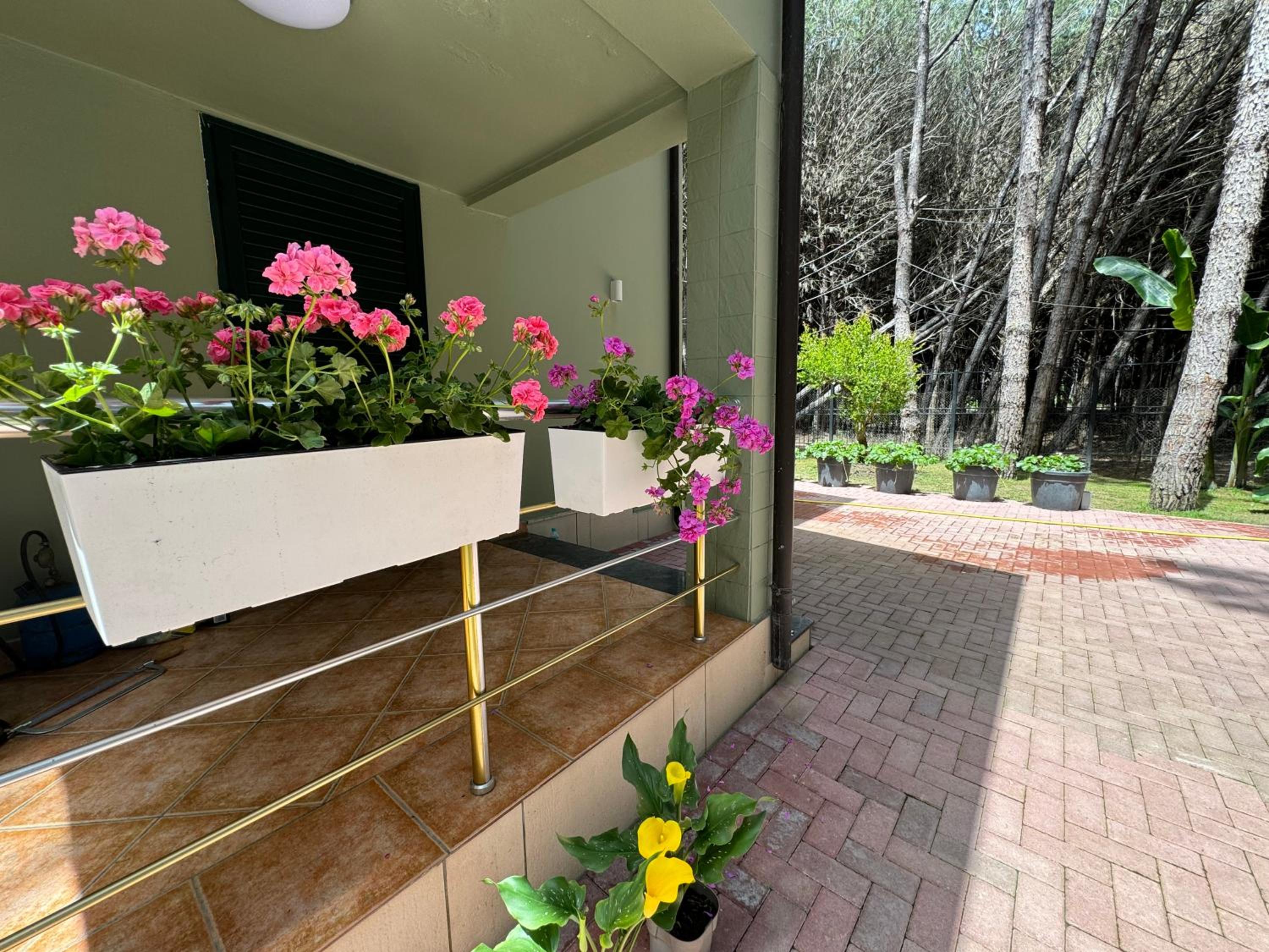 Forest Cottage - middle of forest & near the beach