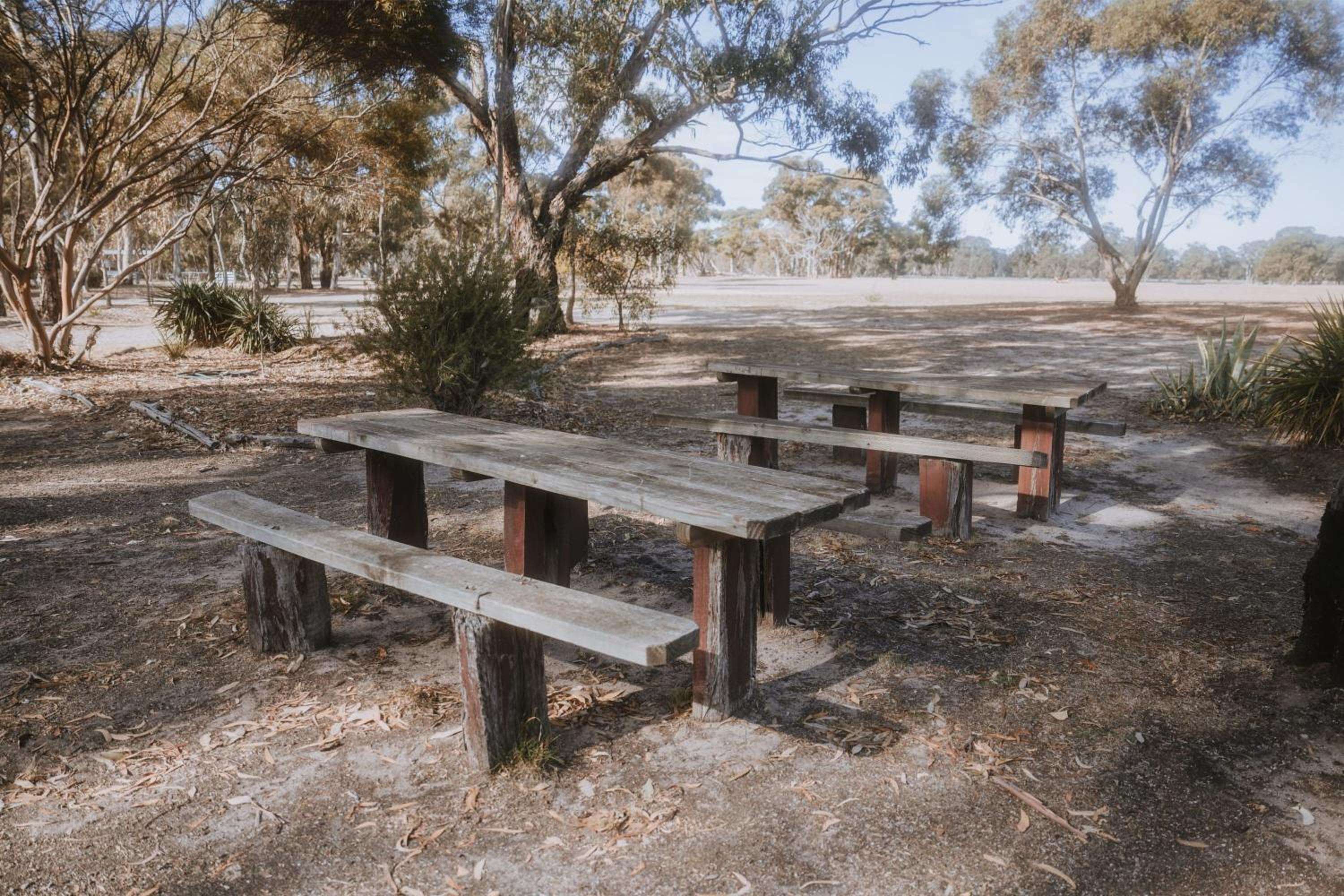 The Wannon 2