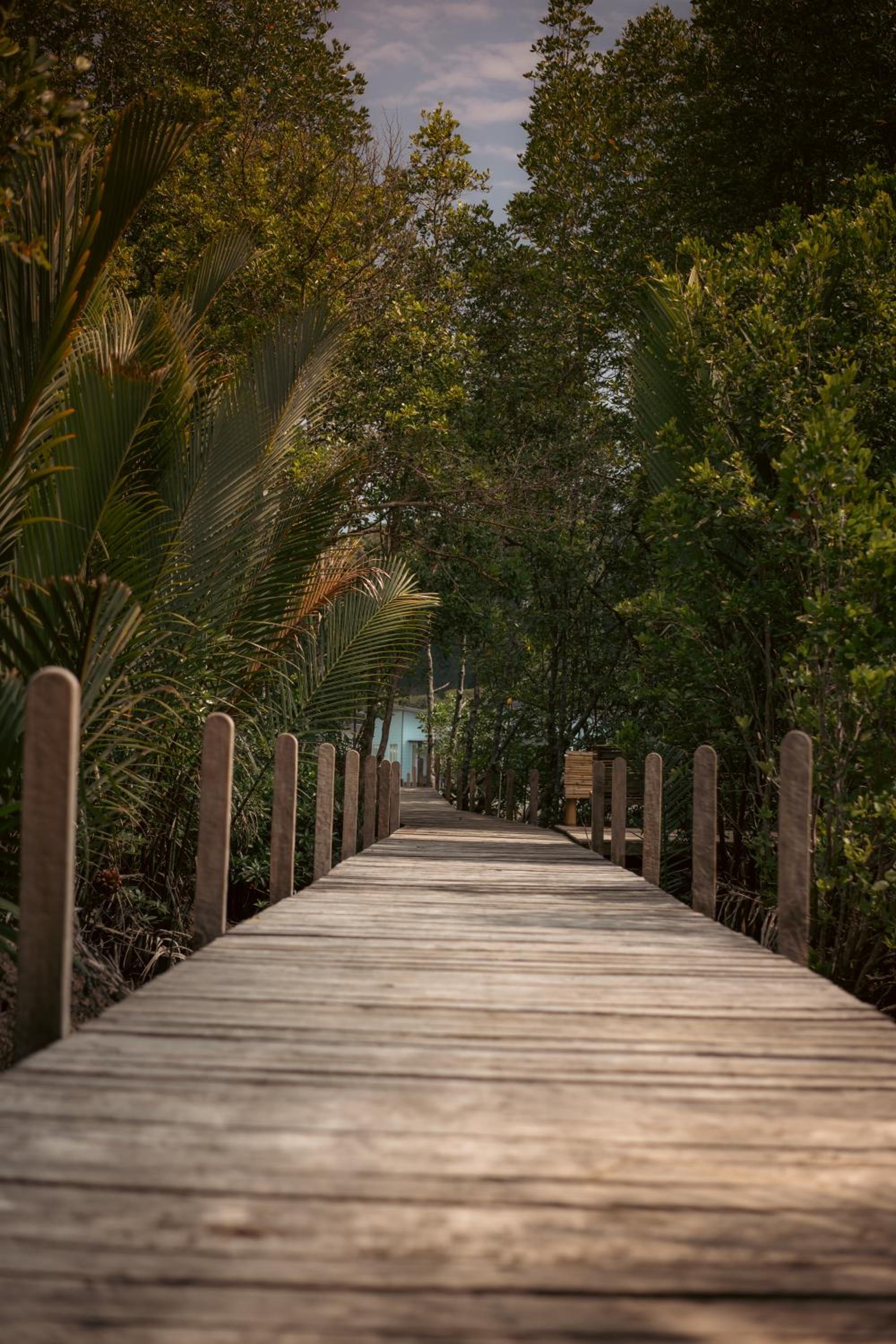 TANJUNG GROVE VILLAS
