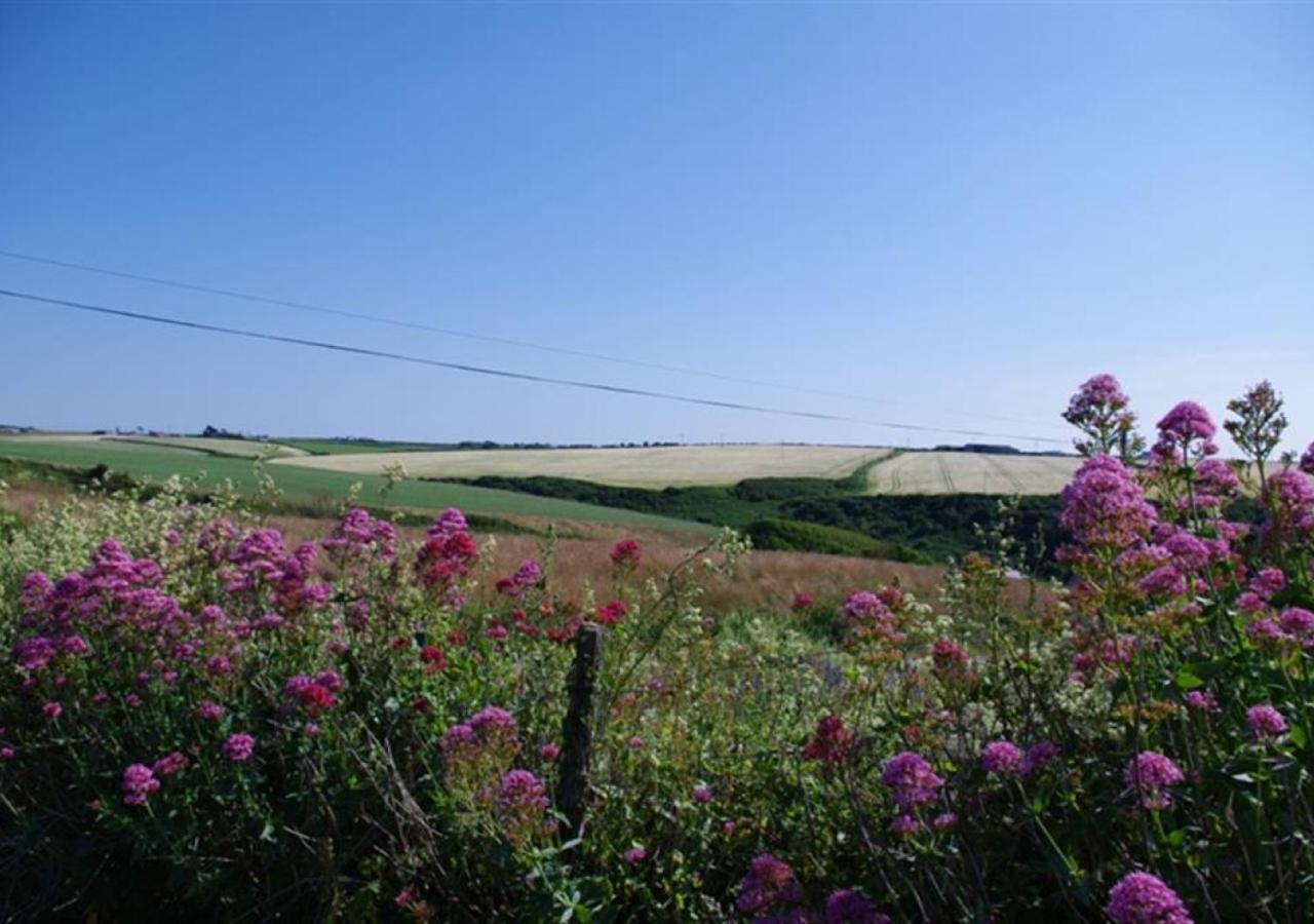 3 Bed in Padstow oc-p00357