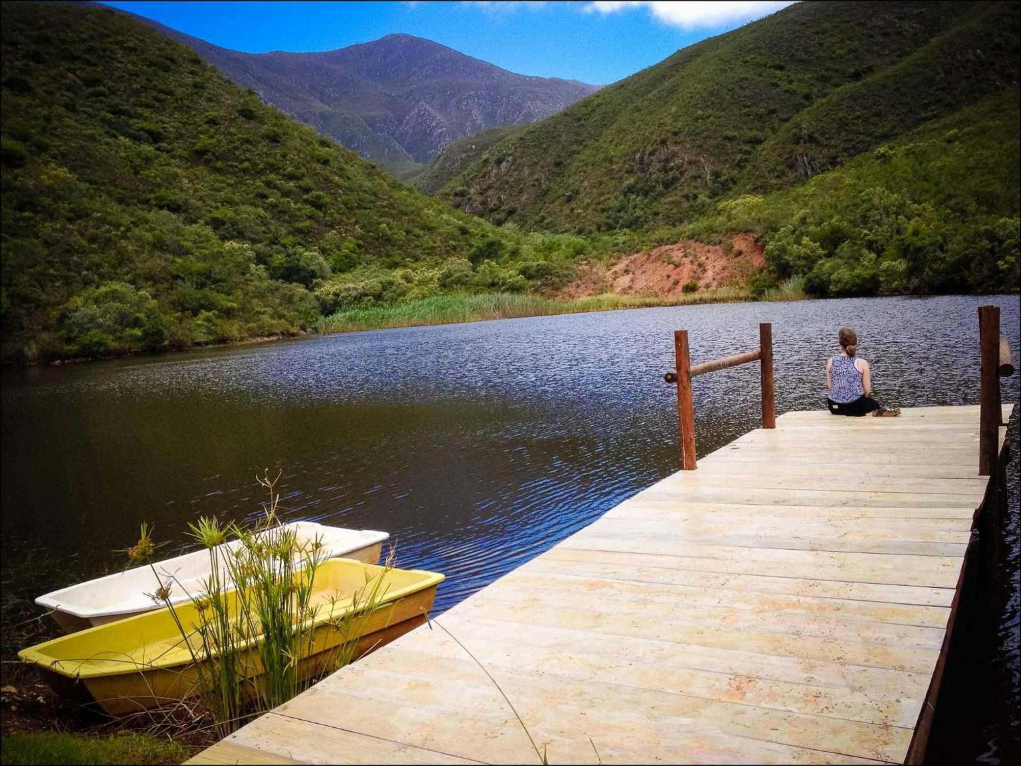 Pat Busch Mountain Reserve