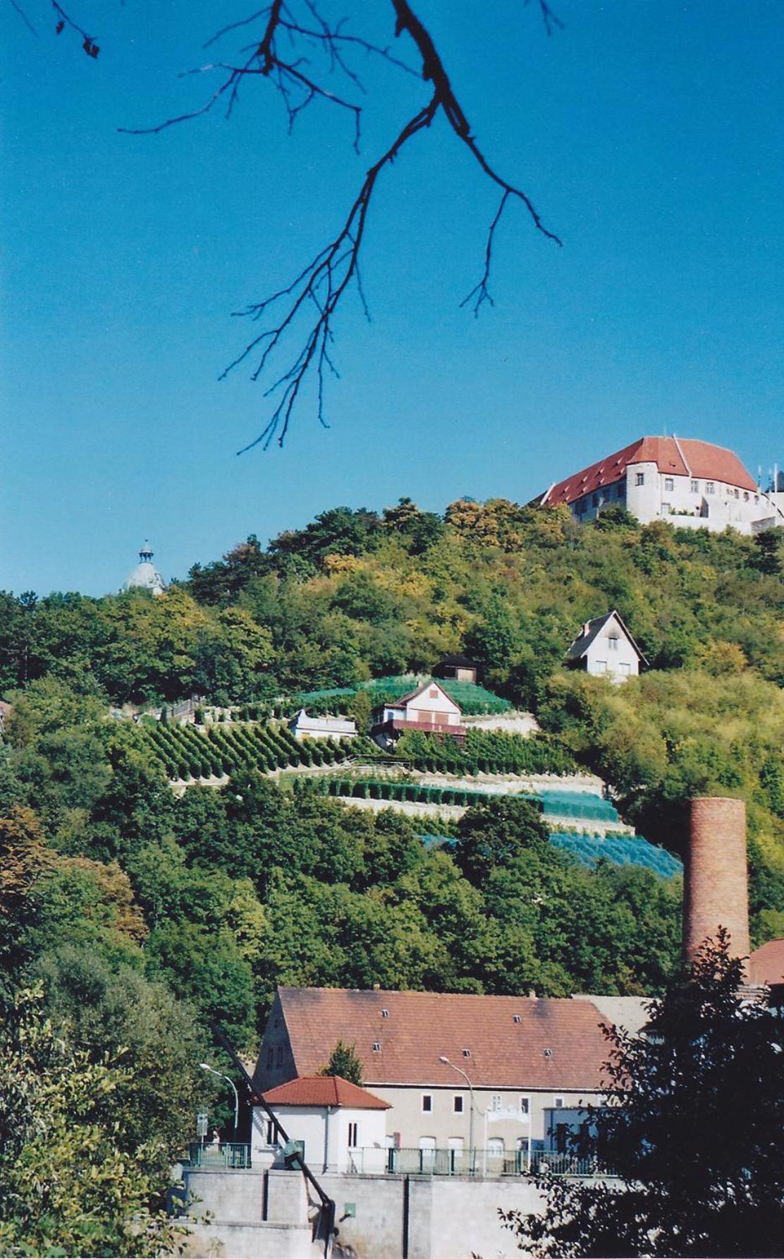 Hotel garni Zum Rebstock
