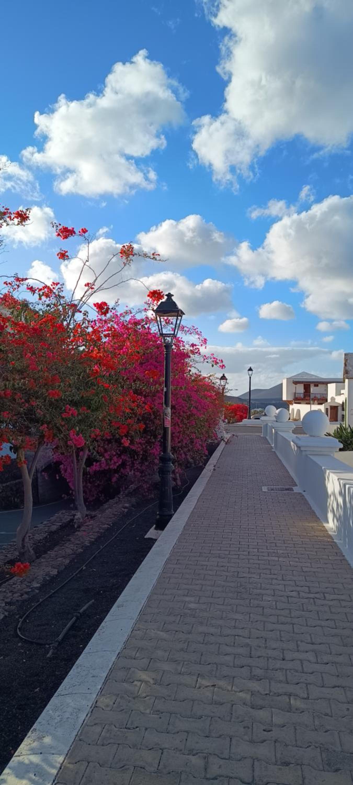 Casa Luz