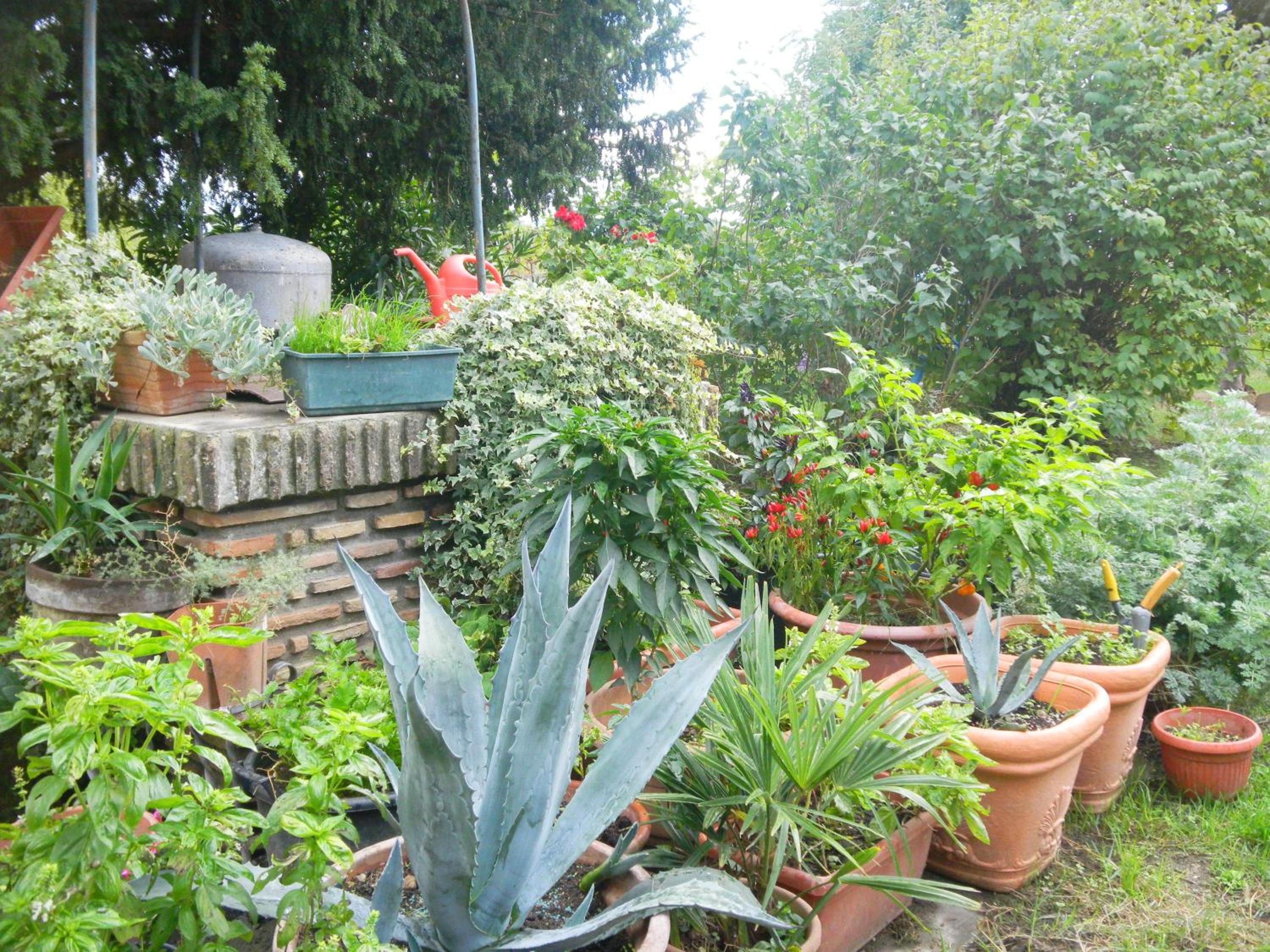 Photo 20