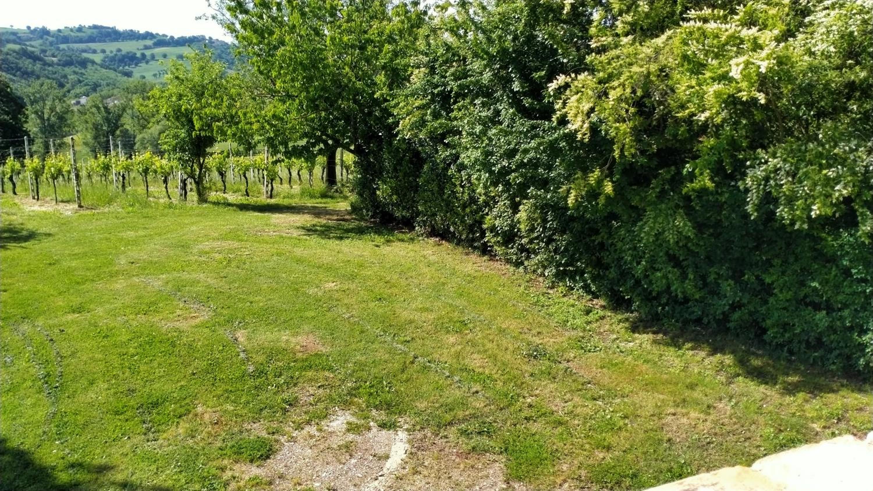 Photo 41