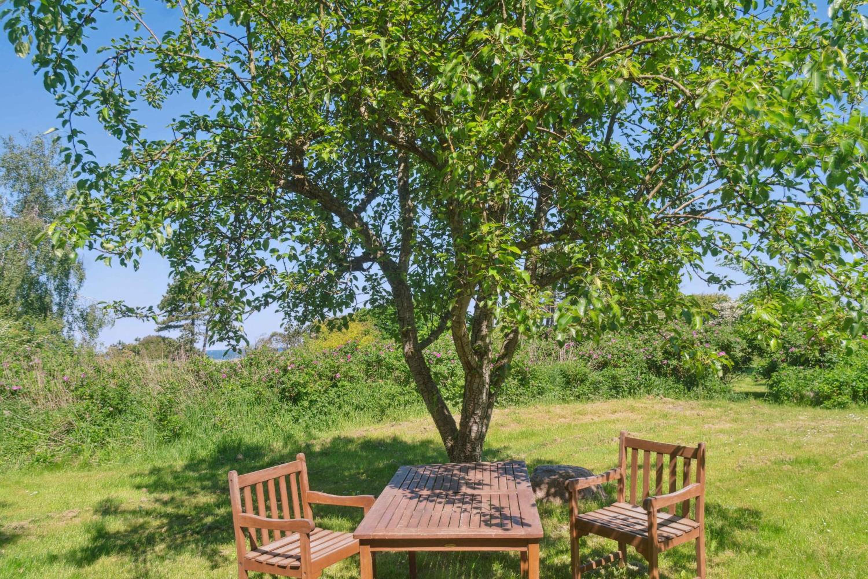 Idyllic Coastal Cottage Comfort And Relaxing