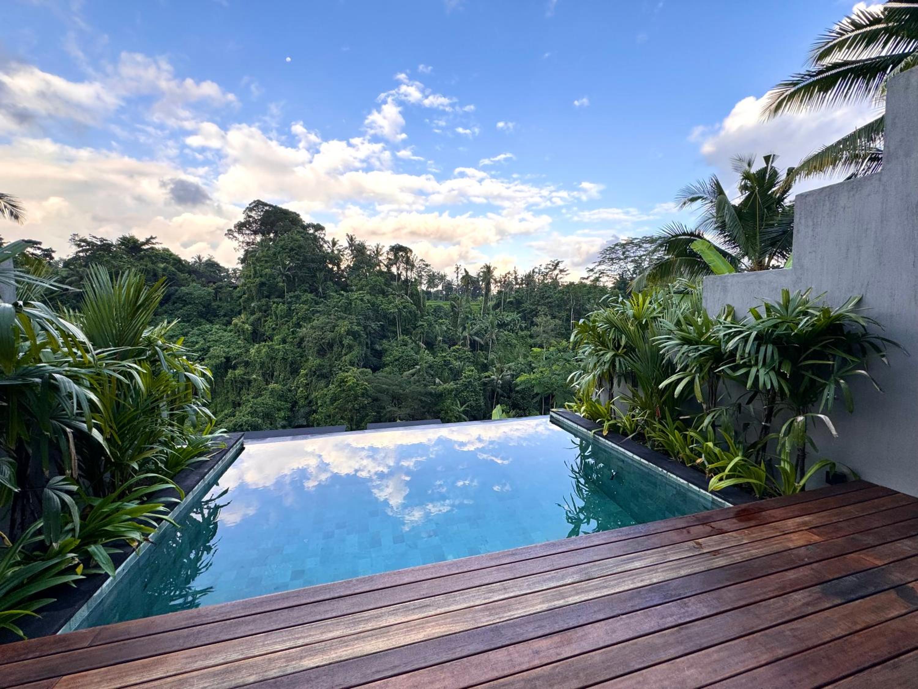 The Clifton Villas Ubud view 5