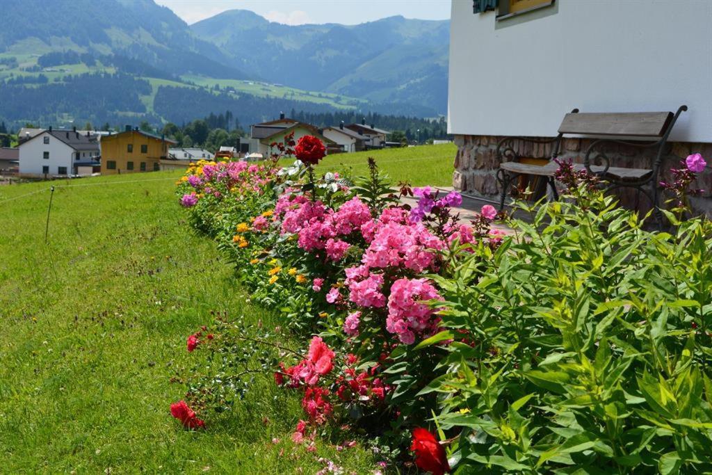 Schusterhof