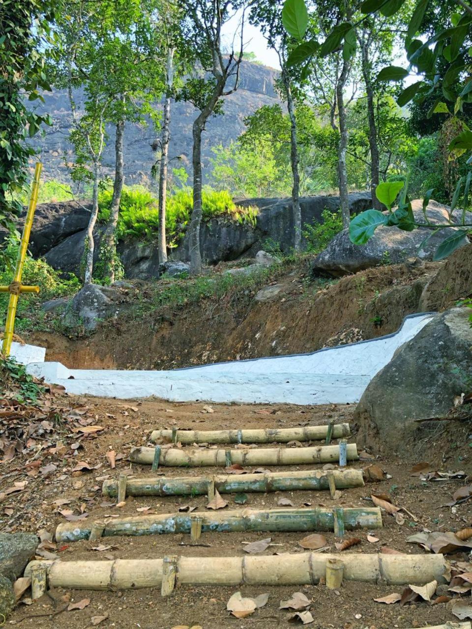 Domestay In Munnar