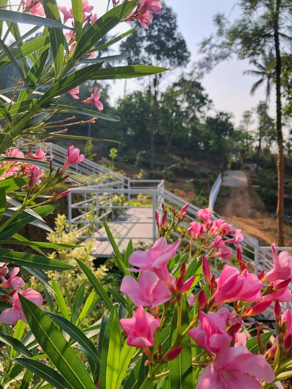 Domestay In Munnar