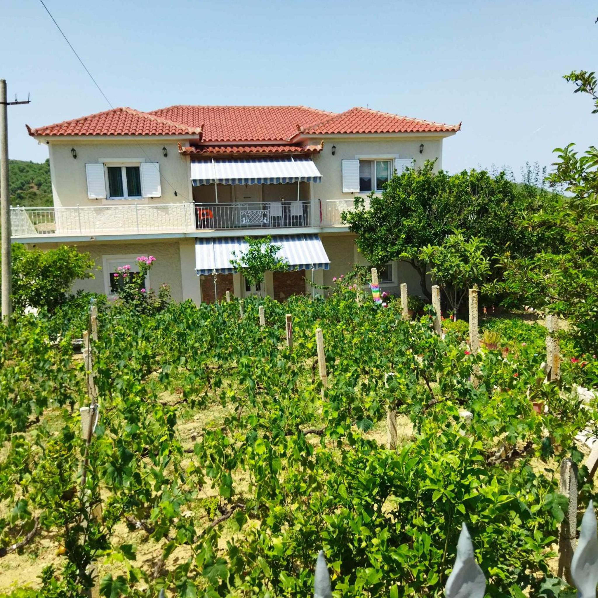 Jimmy's Rental Villa