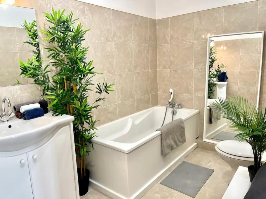 Appartement Luxueux 