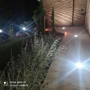 Photo 31