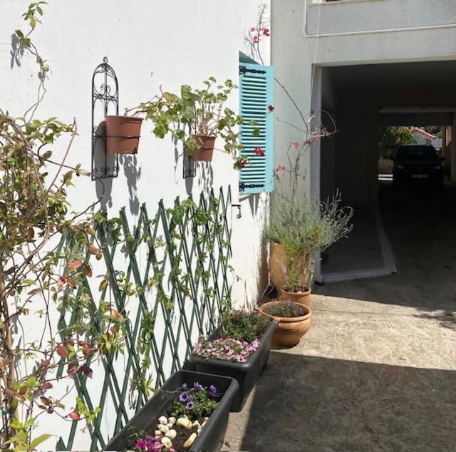 Spata Lykourgos Homes