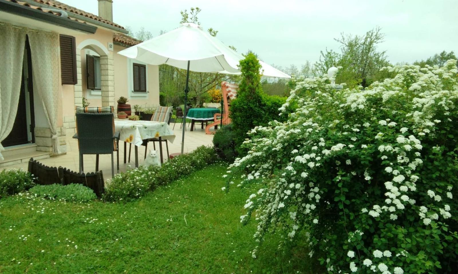 Apartman Marija
