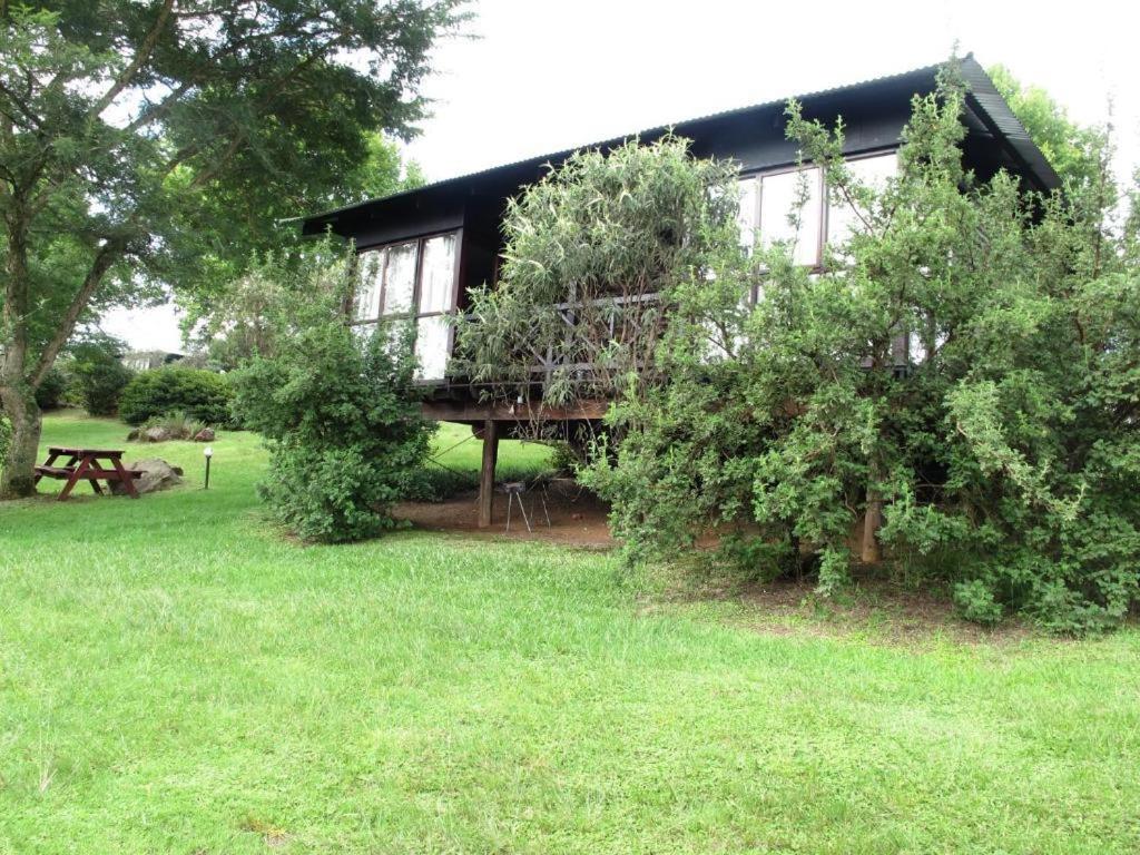 Midlands Forest Lodge