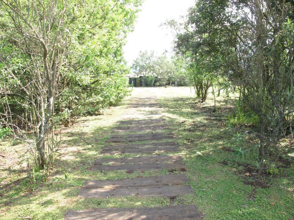 Midlands Forest Lodge