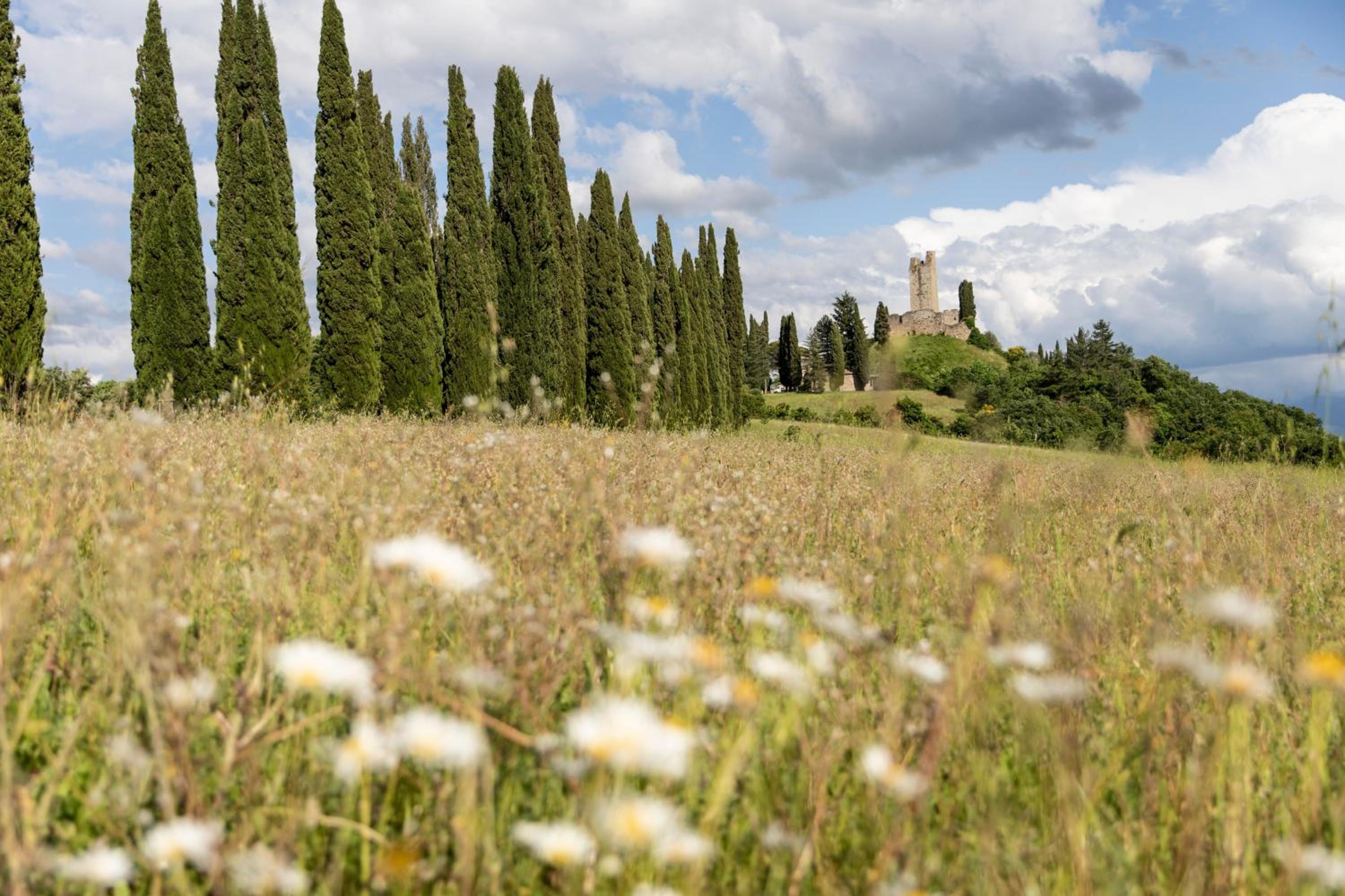 Appartamento Cassero all'Arno