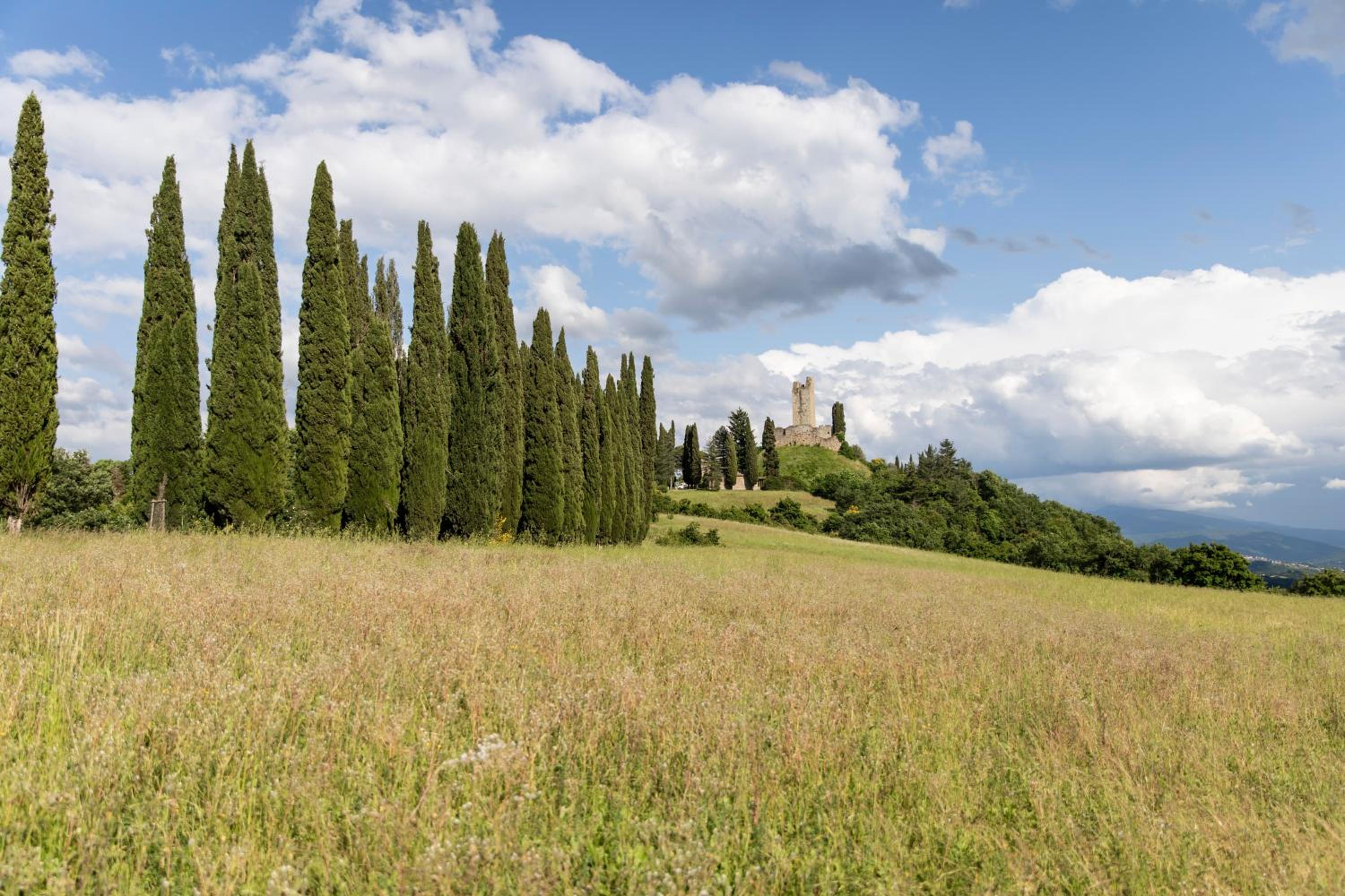 Appartamento Cassero all'Arno