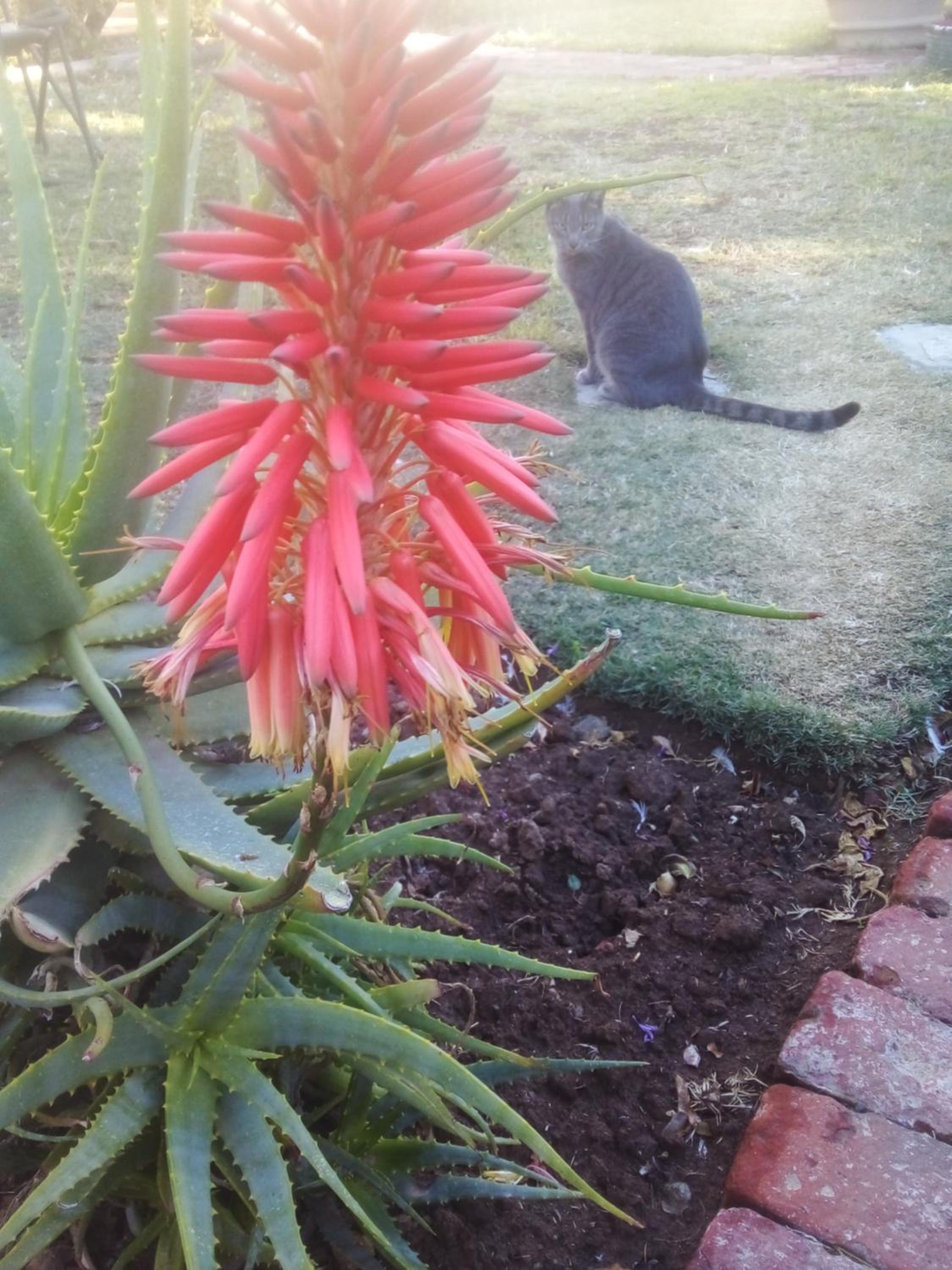 Villa Reinet Guest House