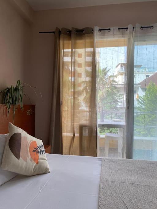 Sofia Rooms 2 photo 3