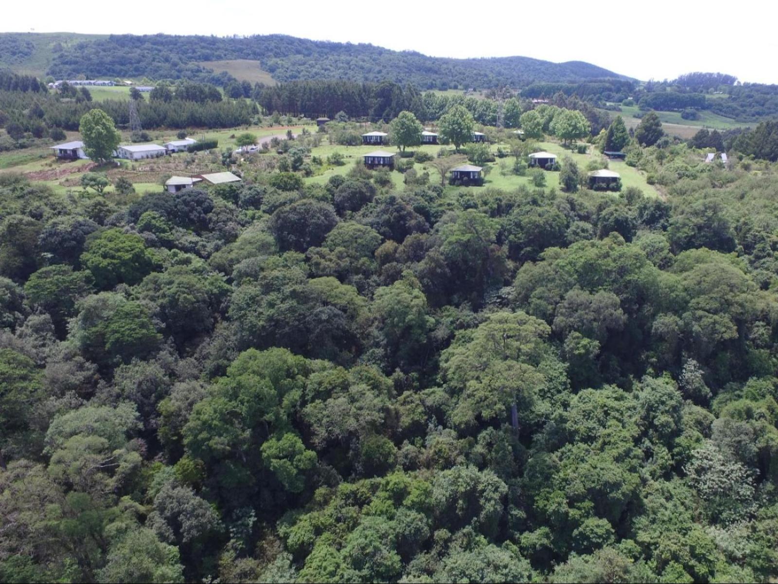 Midlands Forest Lodge