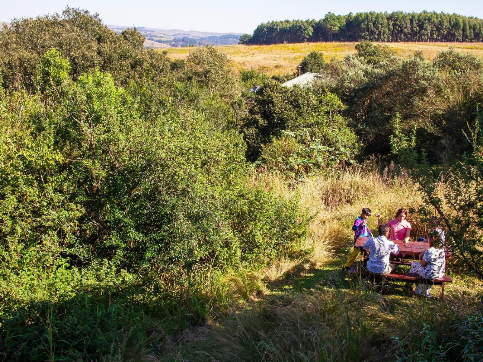 Midlands Forest Lodge