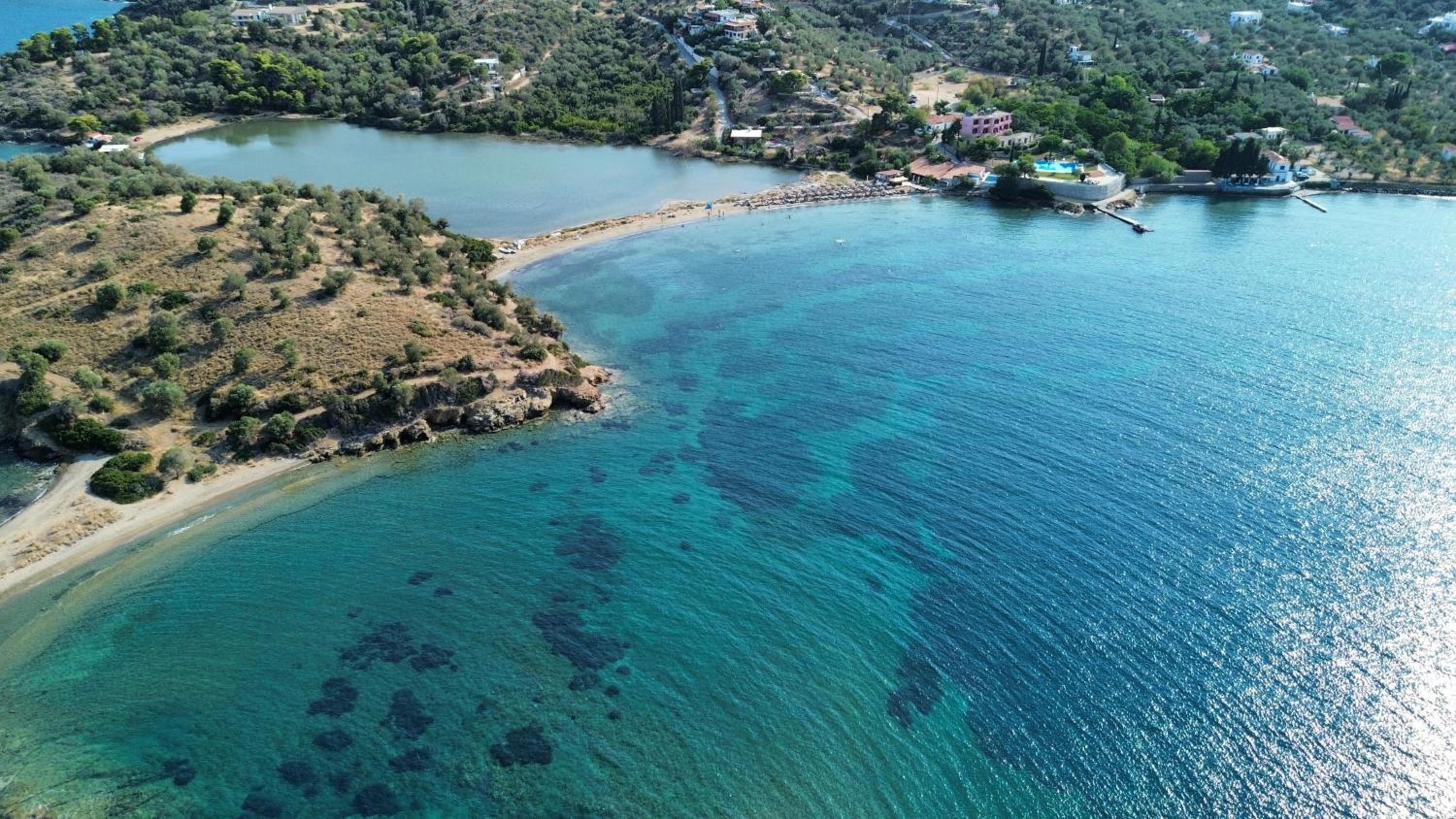 Terra Saronia