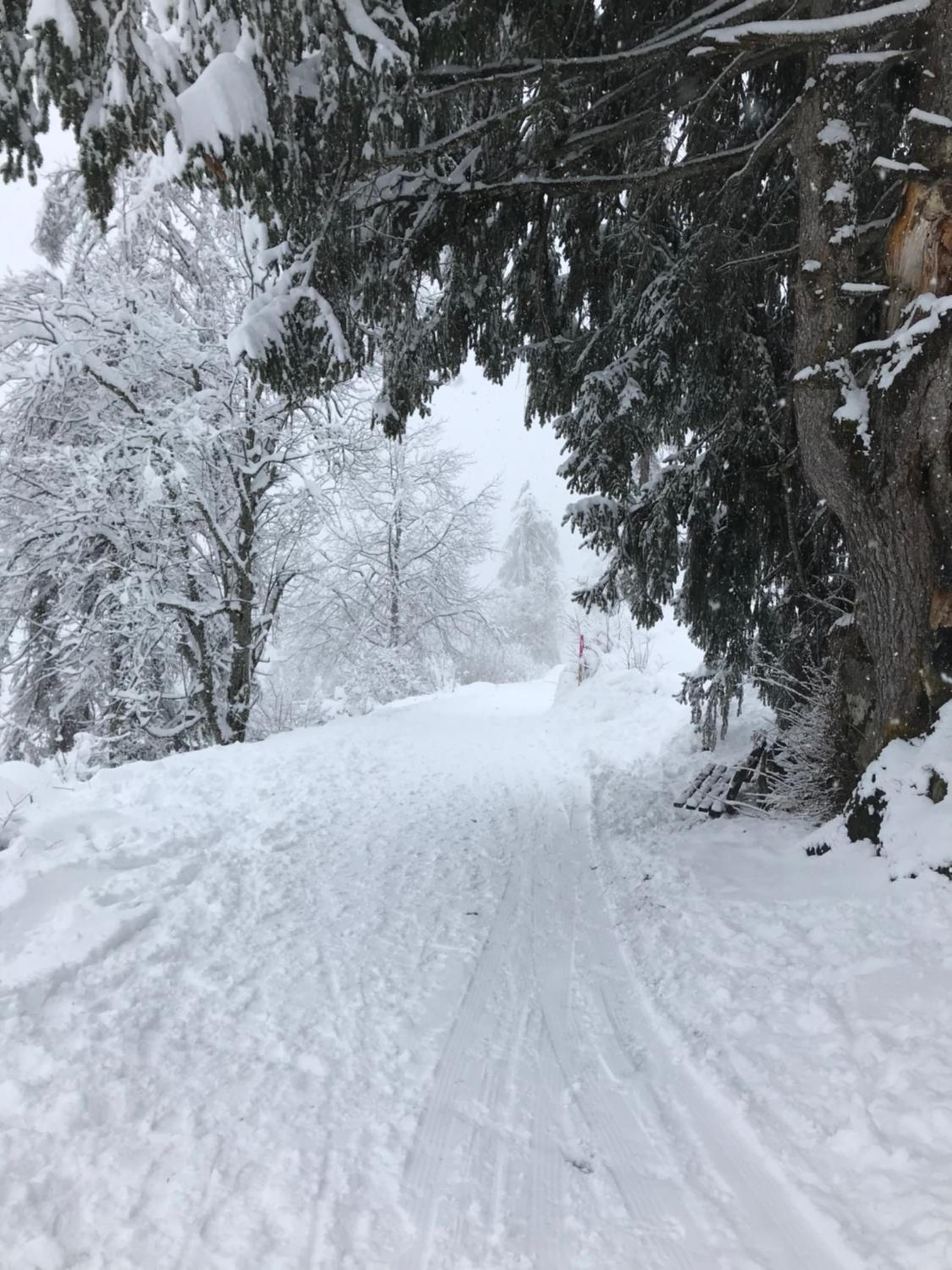 Apartment im Stenna Vallada direkt bei den Bergbahnen