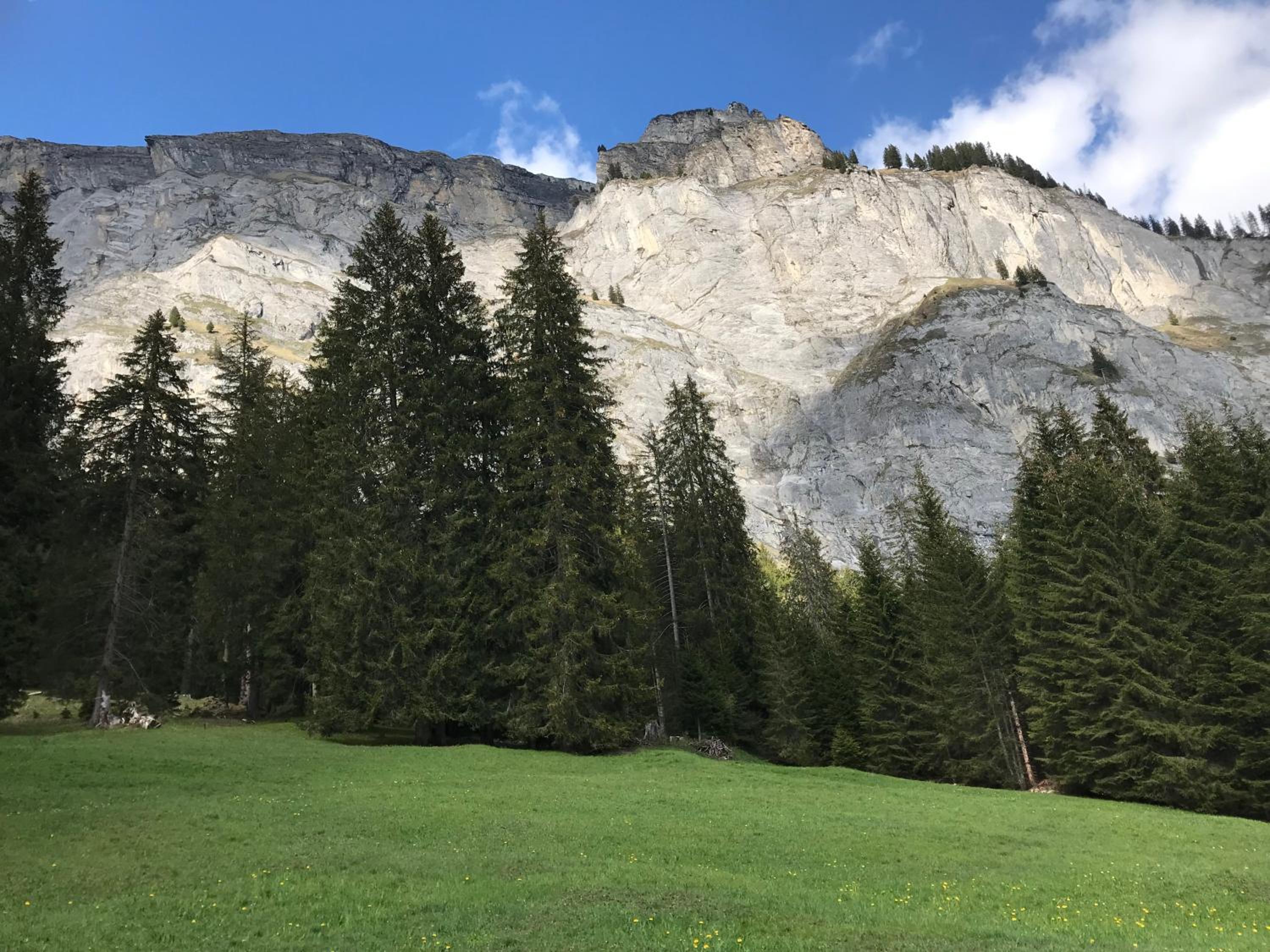 Apartment im Stenna Vallada direkt bei den Bergbahnen