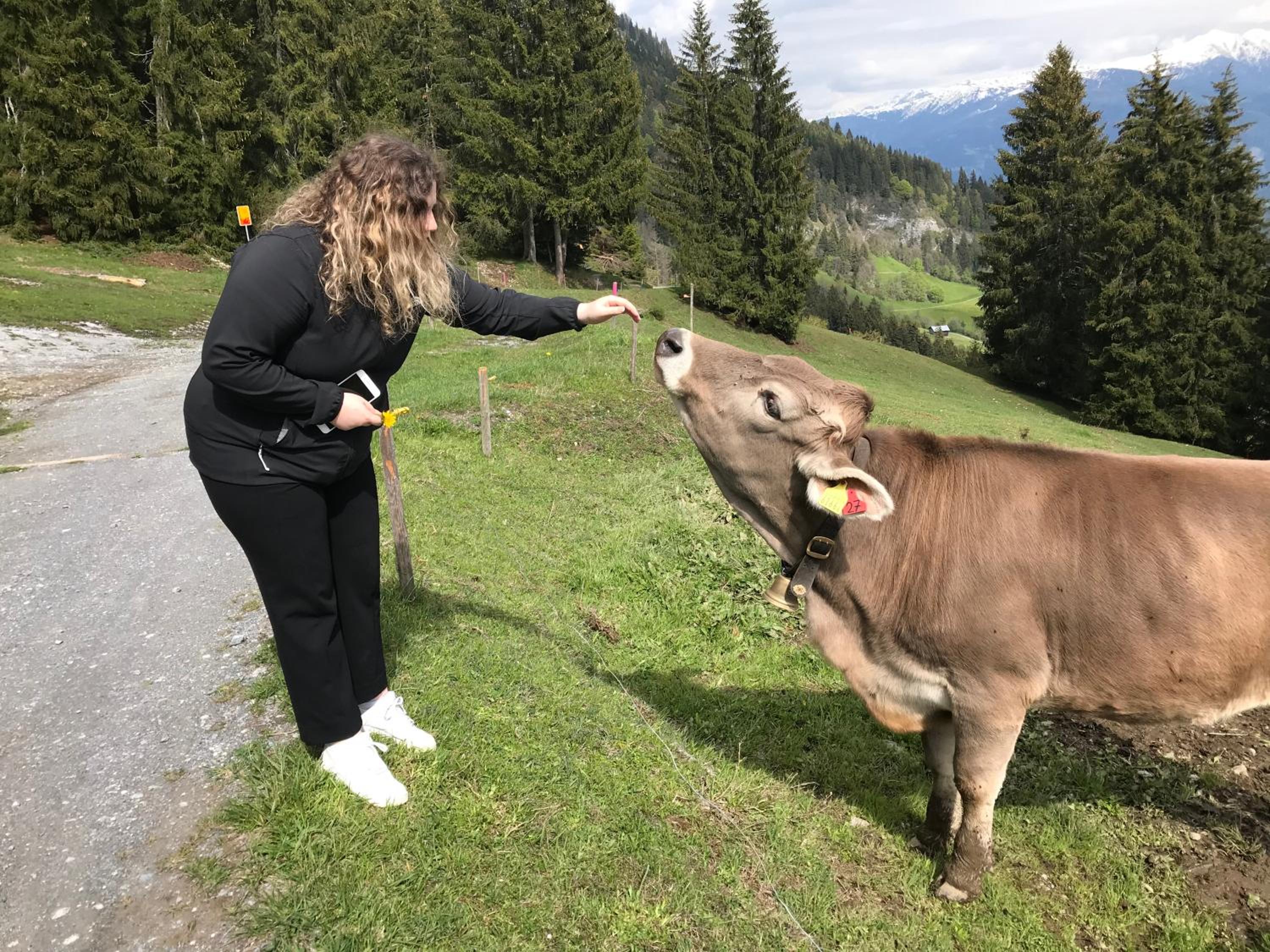 Apartment im Stenna Vallada direkt bei den Bergbahnen