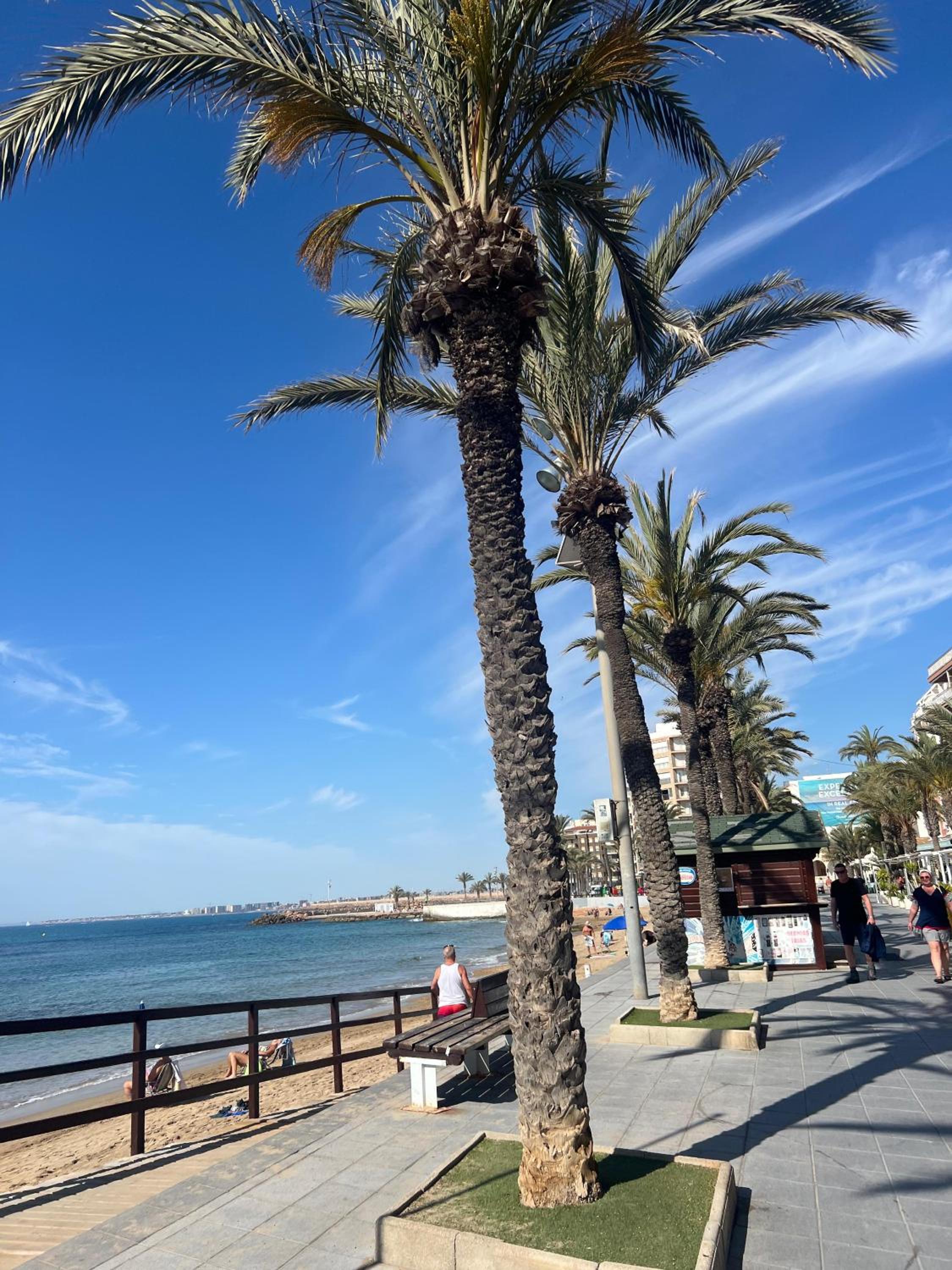 Appartement Torrevieja Alicante