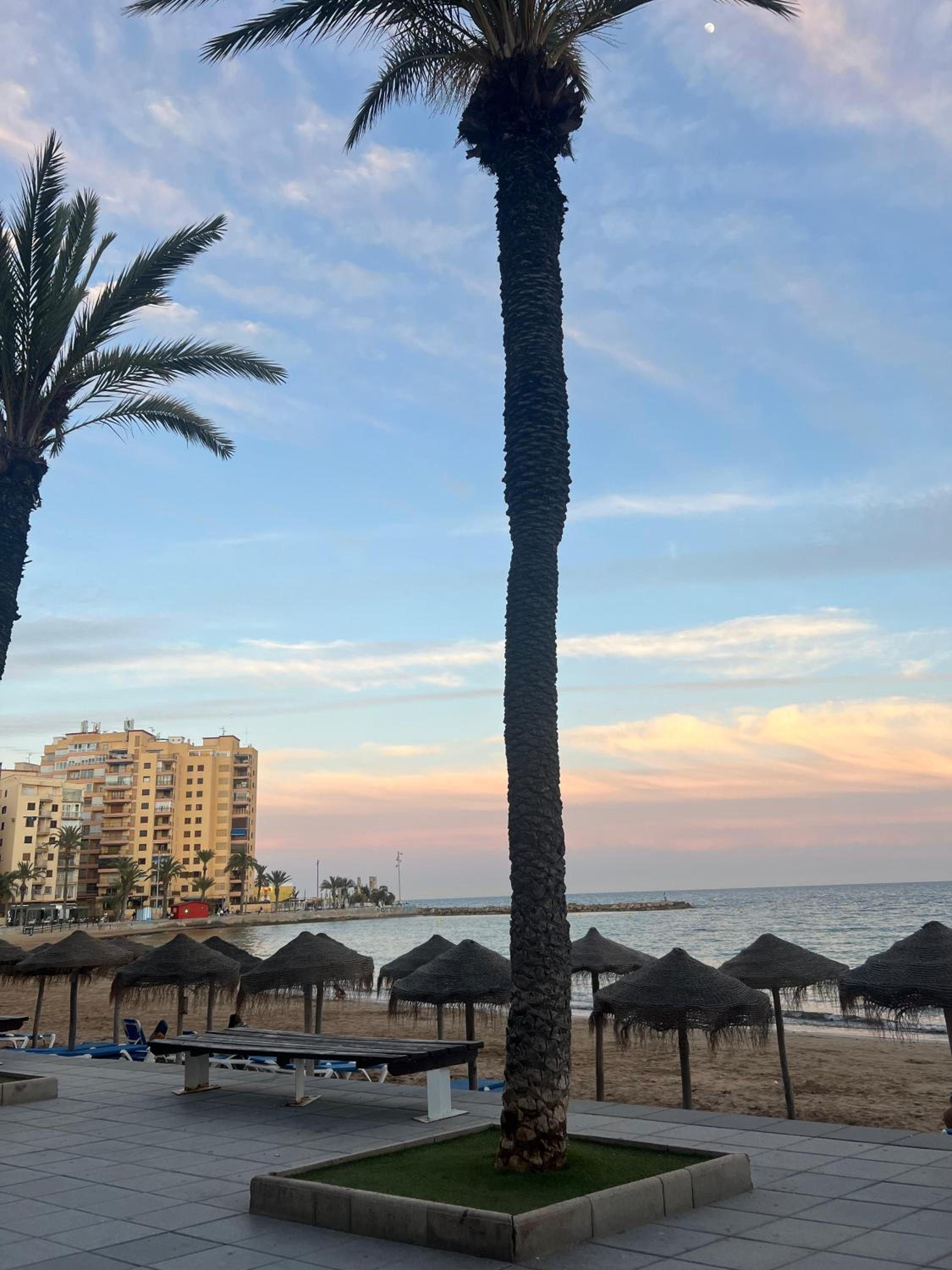 Appartement Torrevieja Alicante
