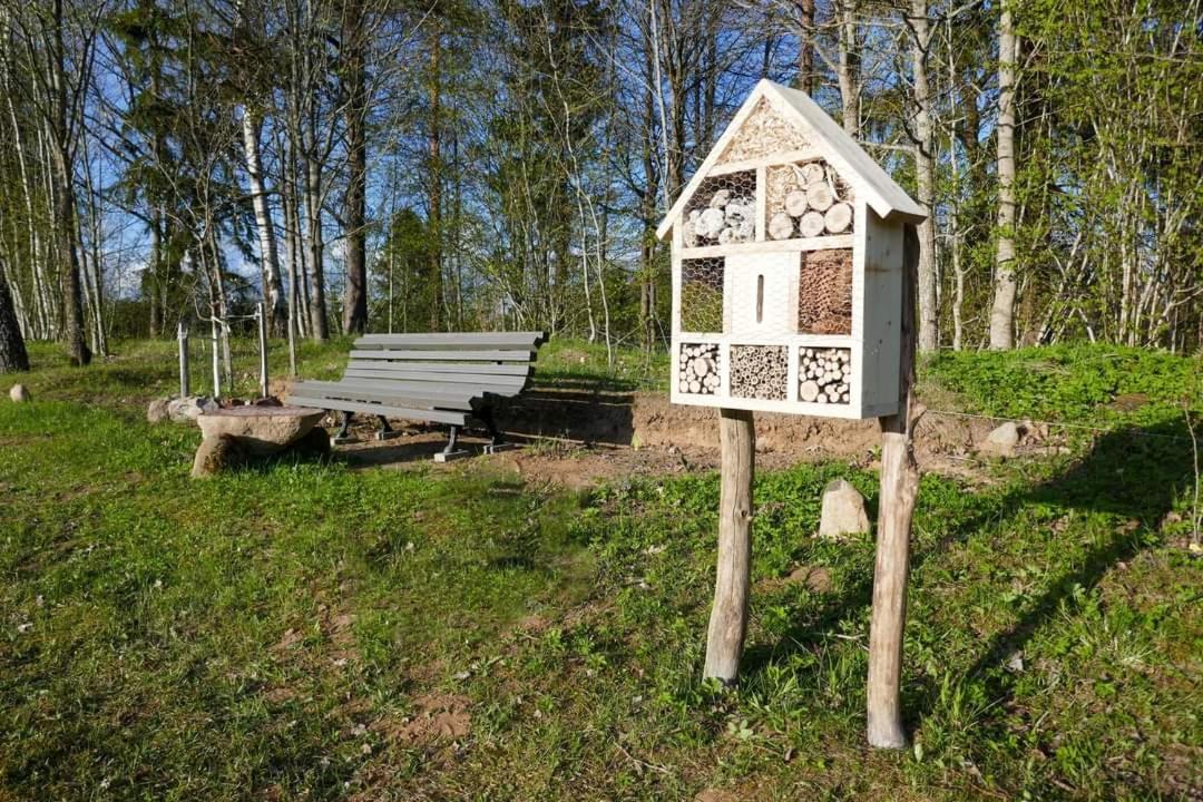Photo 27