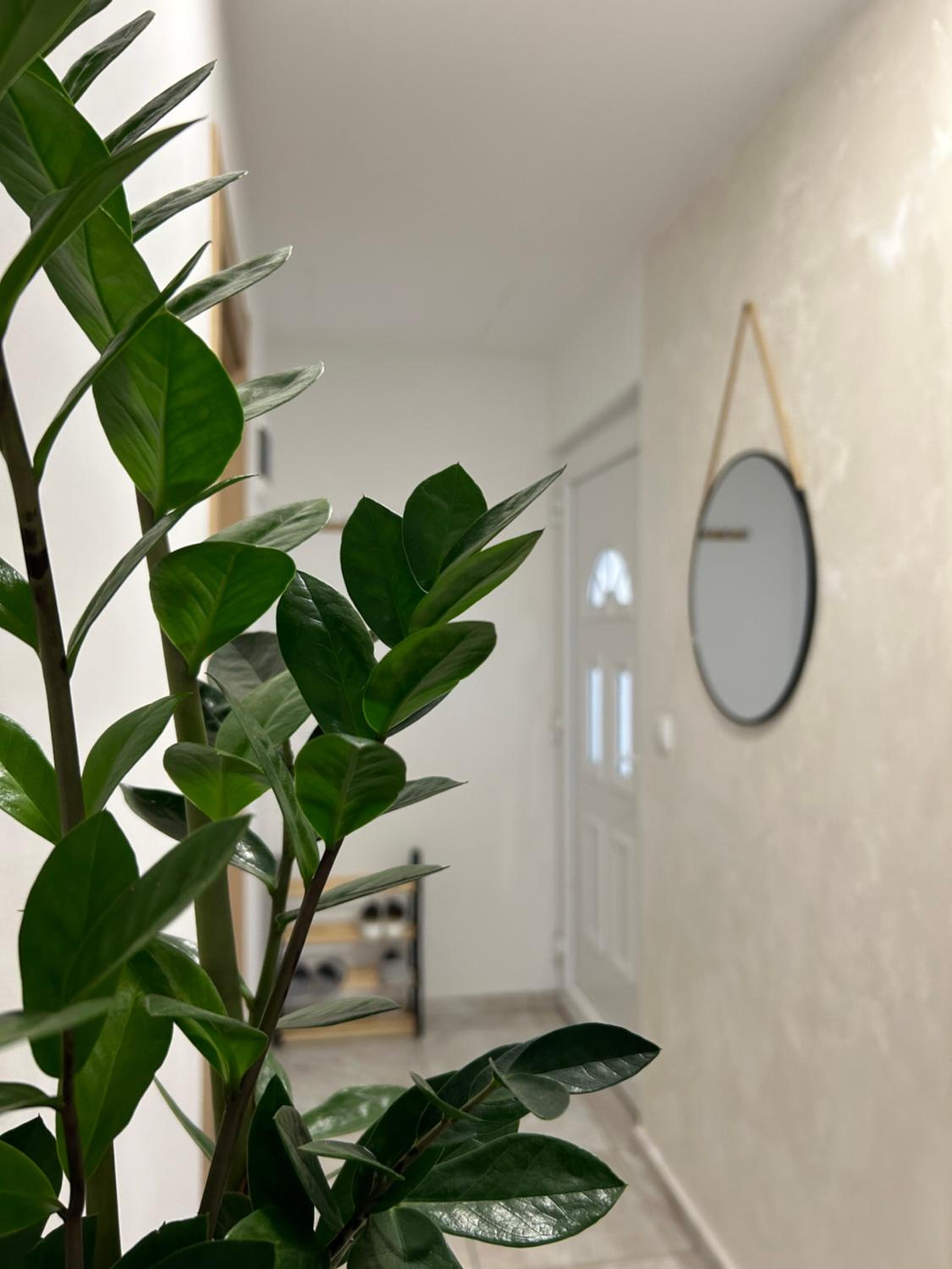 Apartman Gold LUX view 4