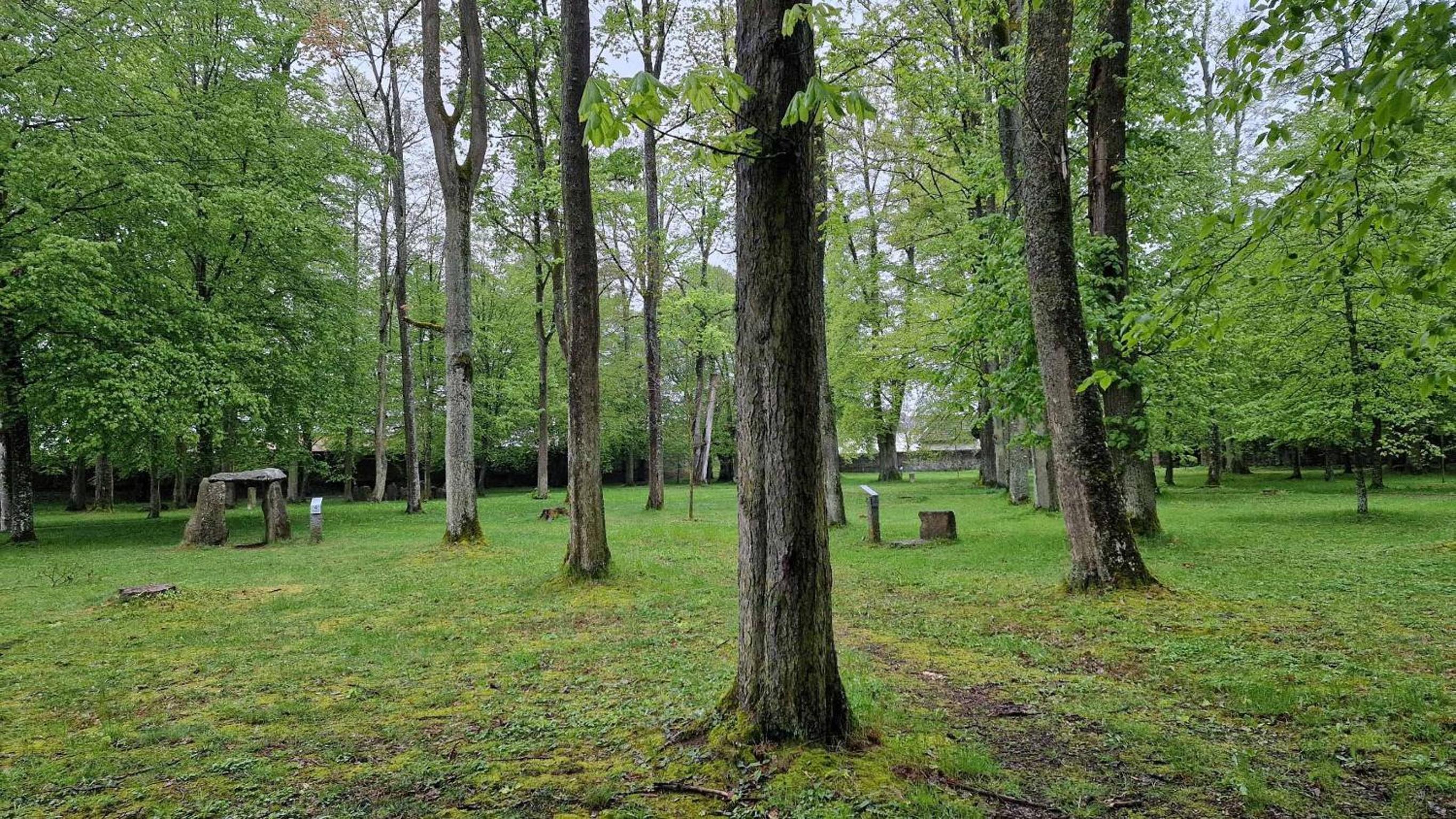 Villa Andreas