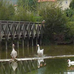 Quinta das Mineirinhas