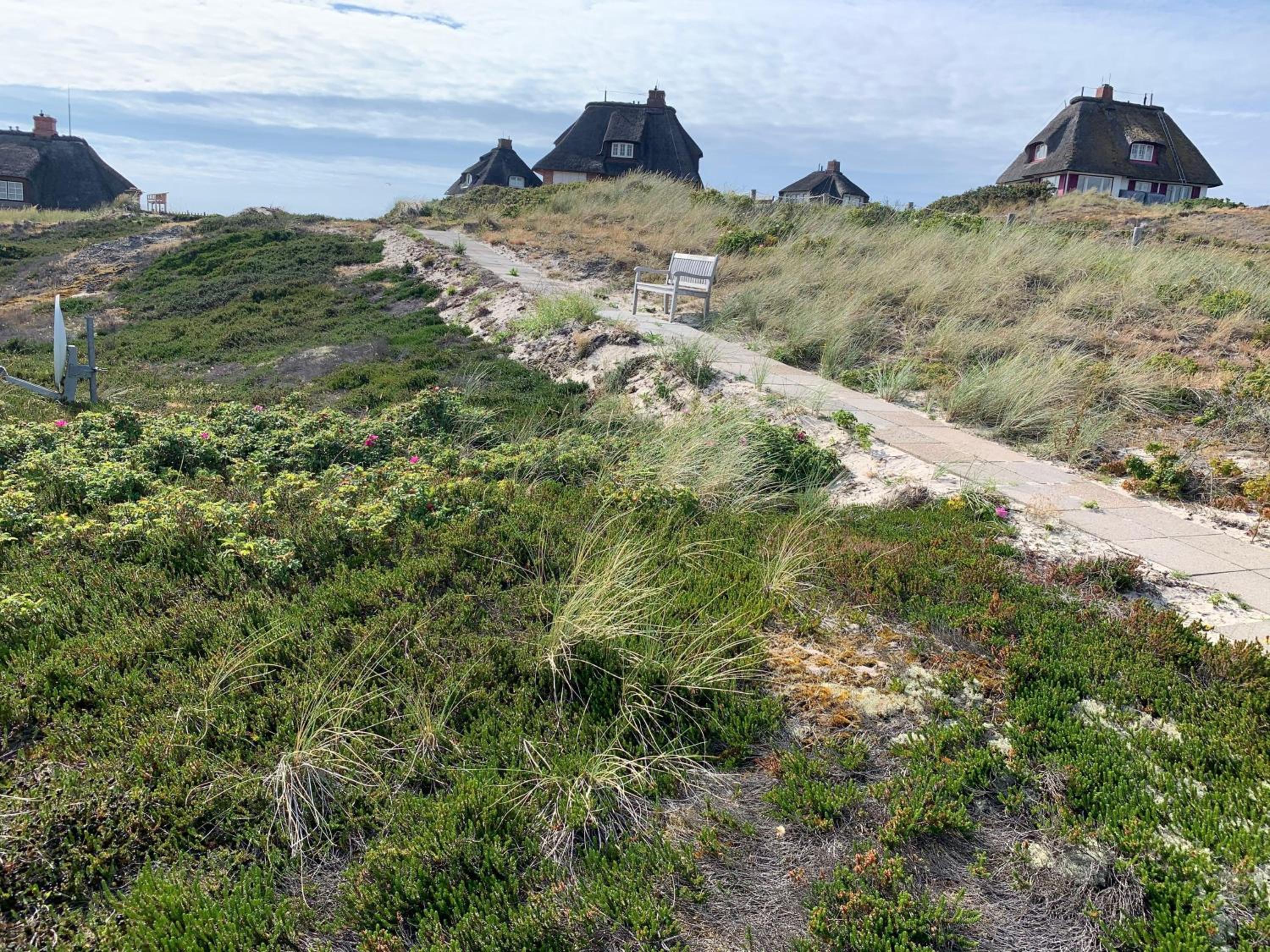 Meerblickhaus-Hoppe-mit-Panoramabank-auf-Sylt