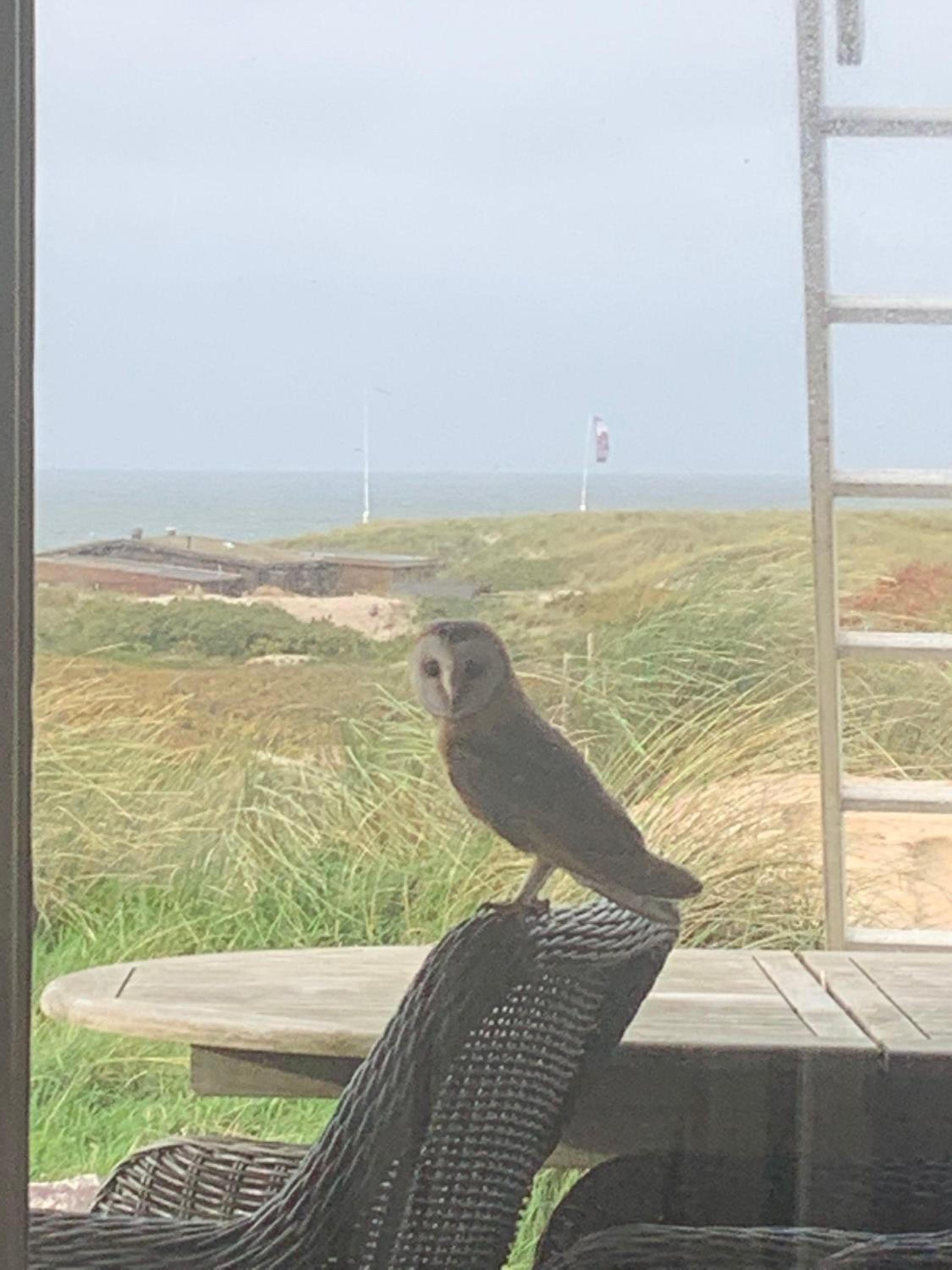 Meerblickhaus-Hoppe-mit-Panoramabank-auf-Sylt