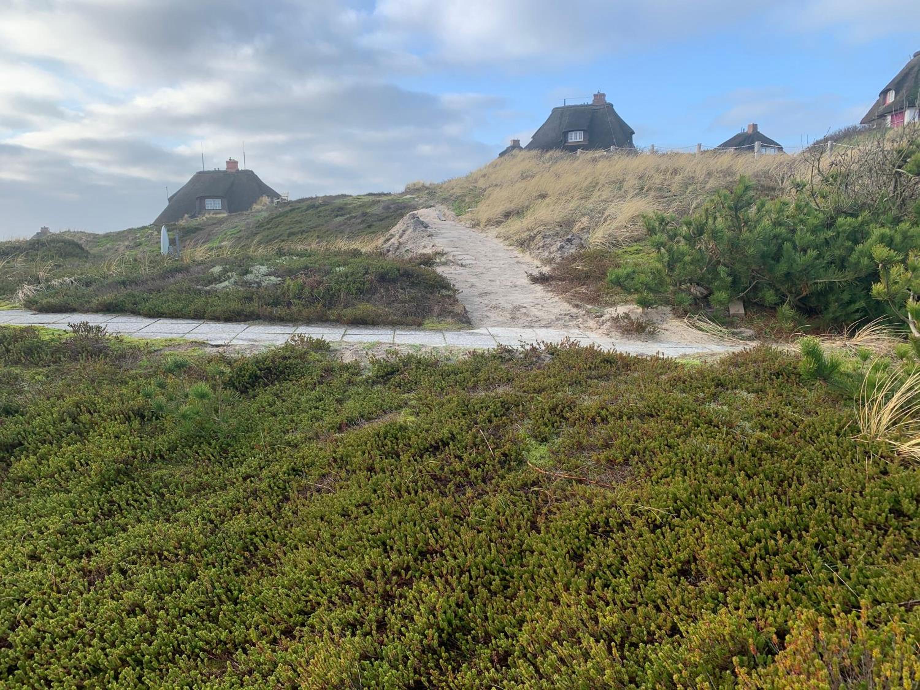 Meerblickhaus-Hoppe-mit-Panoramabank-auf-Sylt
