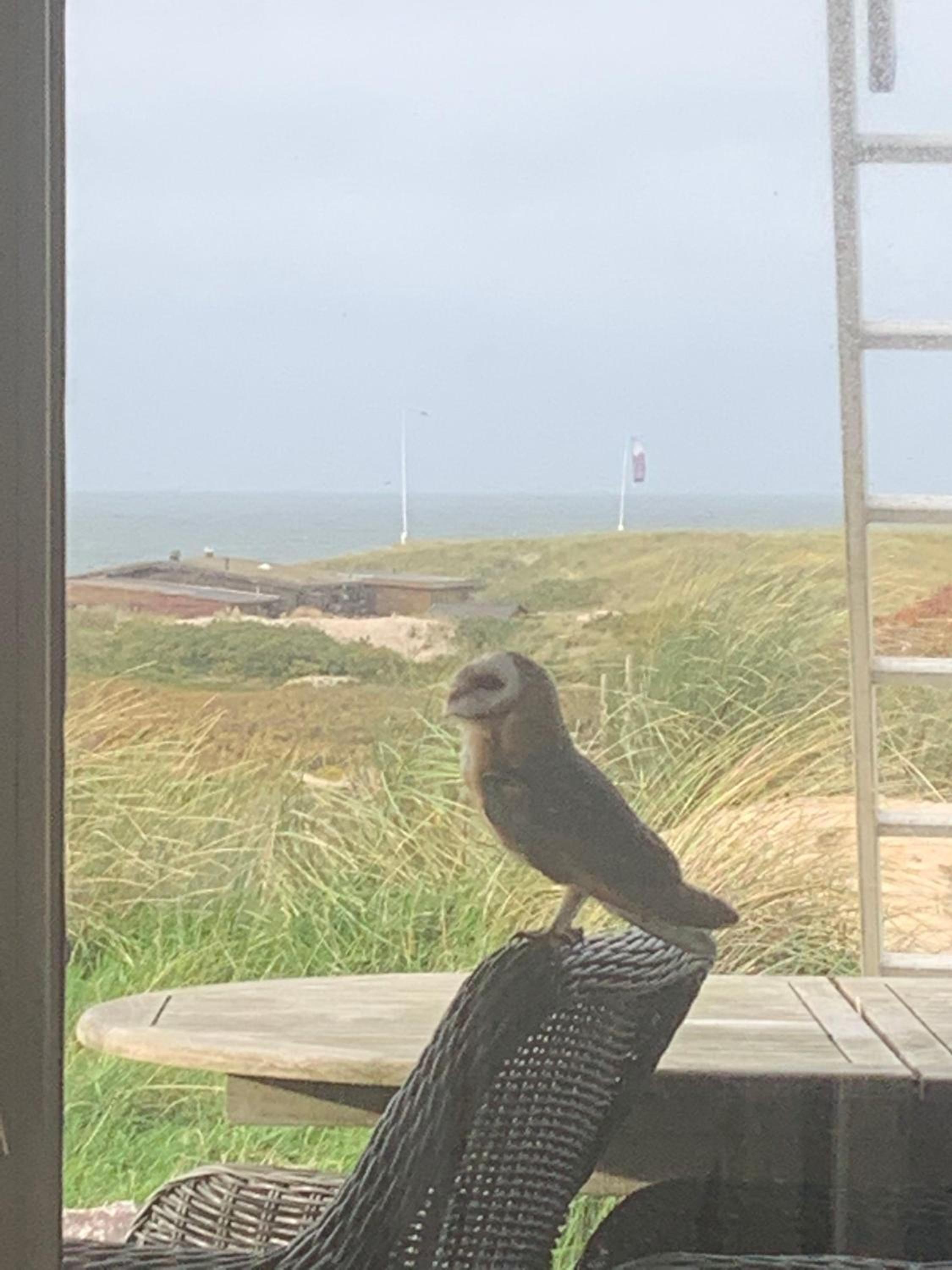 Meerblickhaus-Hoppe-mit-Panoramabank-auf-Sylt