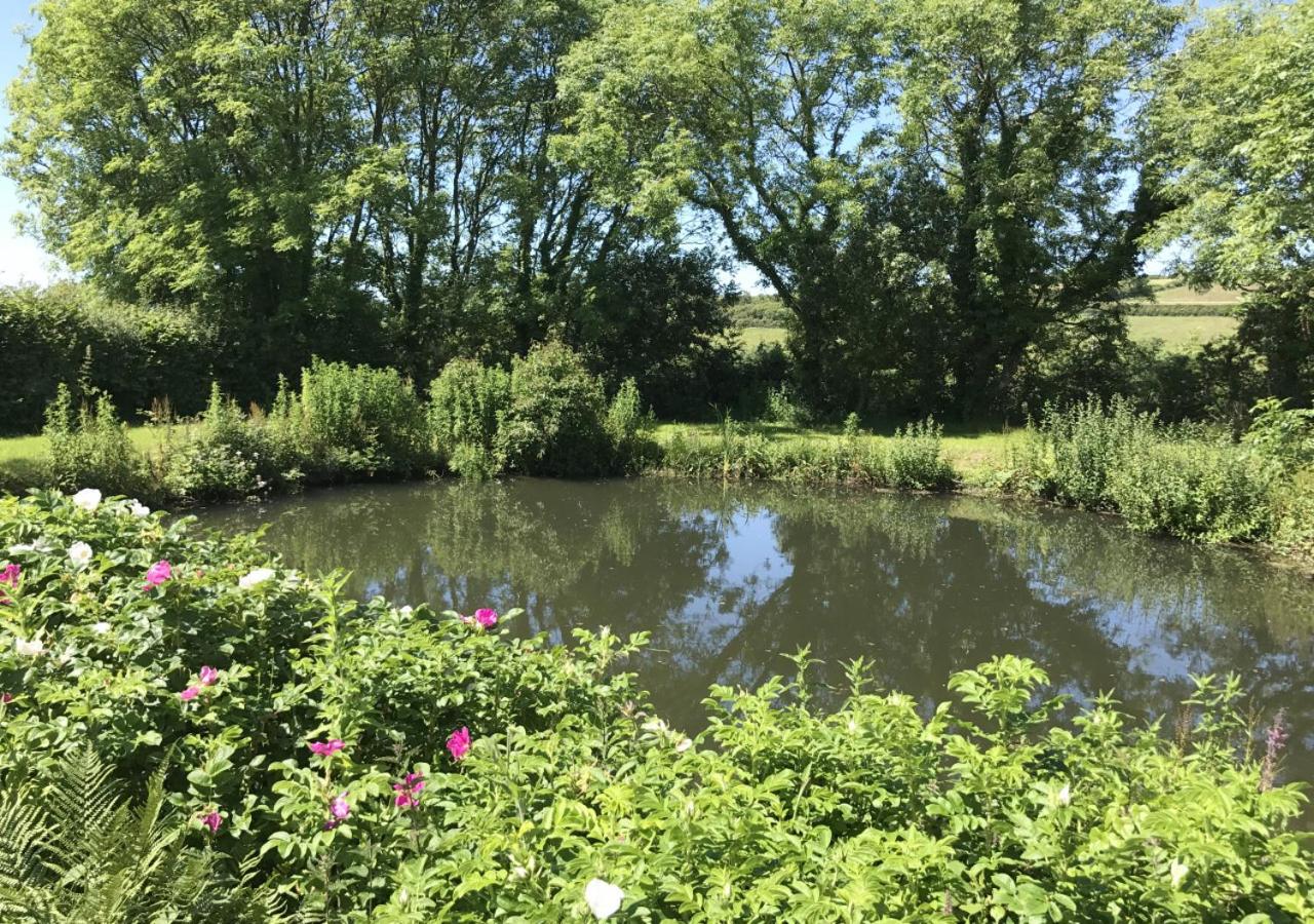 1 Bed in Little Haven oc-wav323