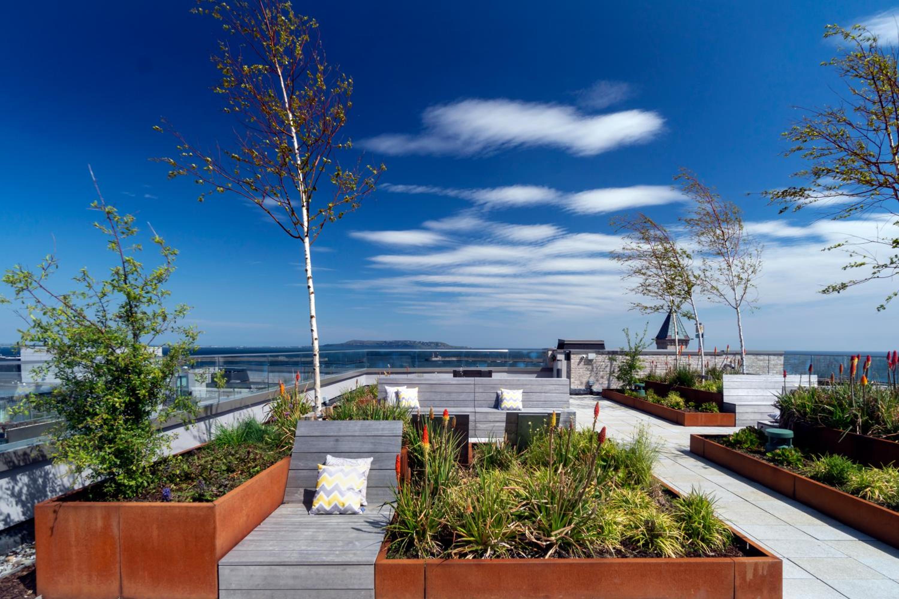 Niche Living - Dun Laoghaire