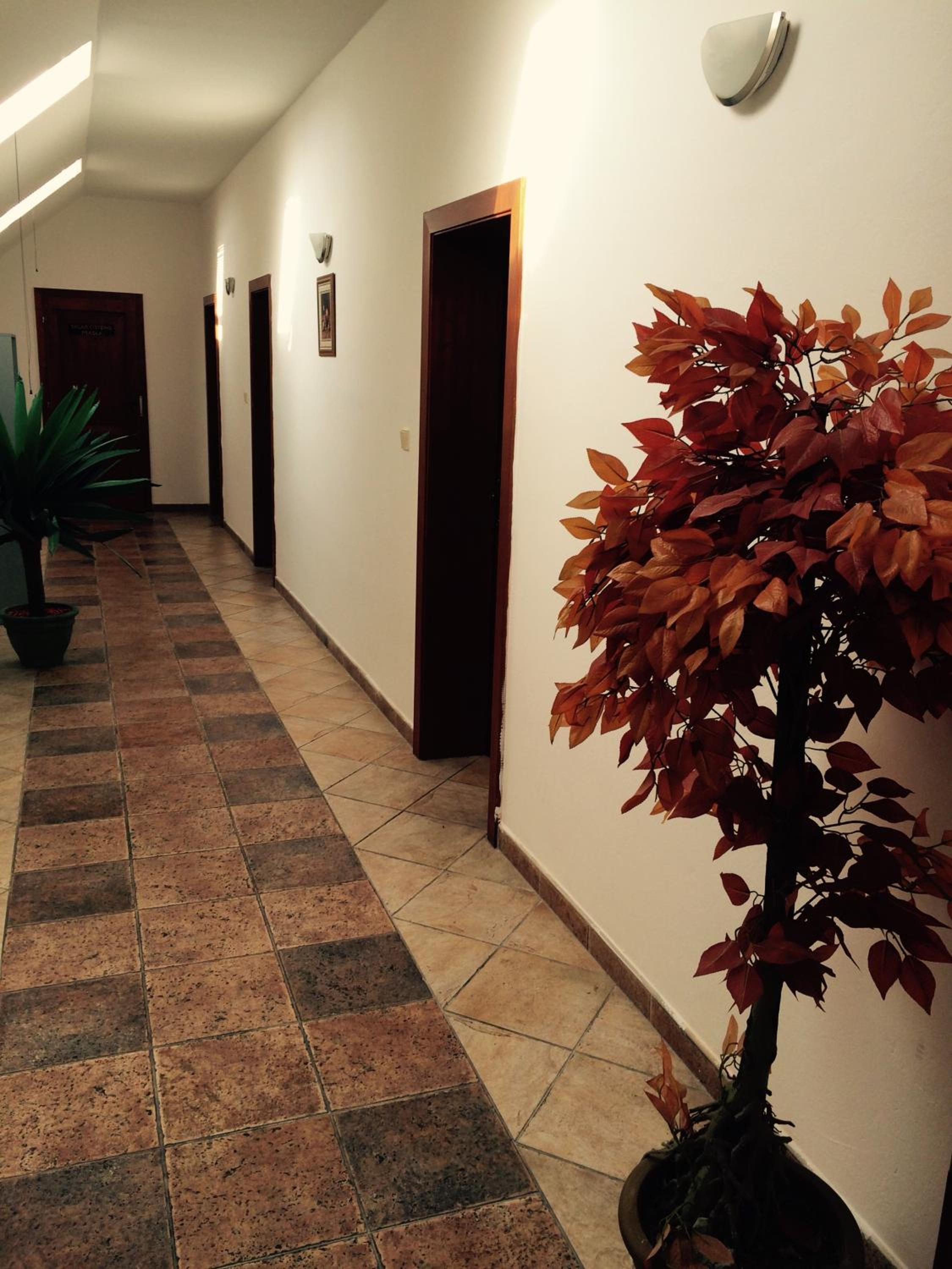 Photo 29