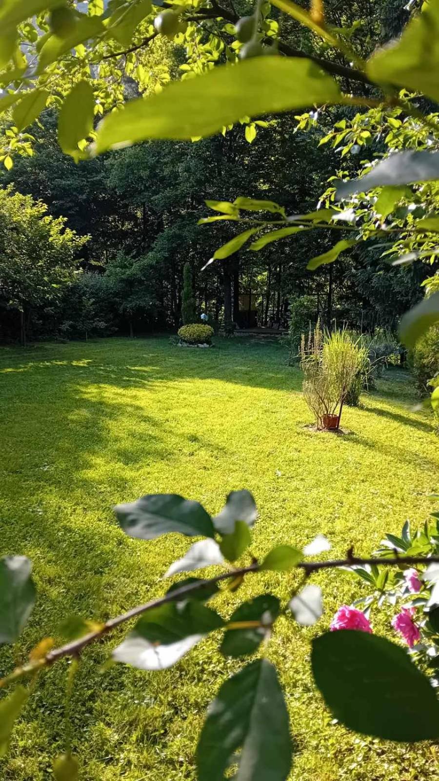 Tamaris Holiday Home