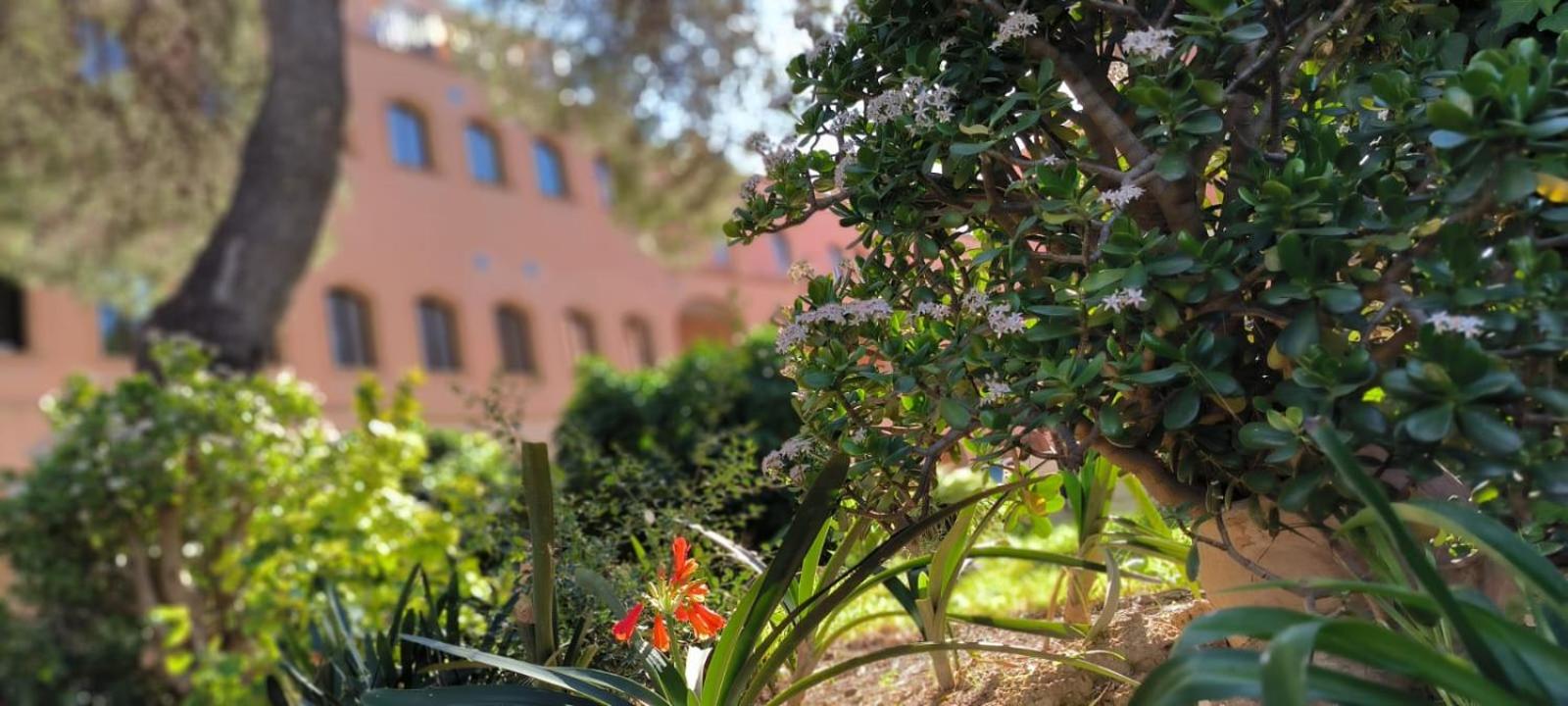 Albergue Rosa Molas